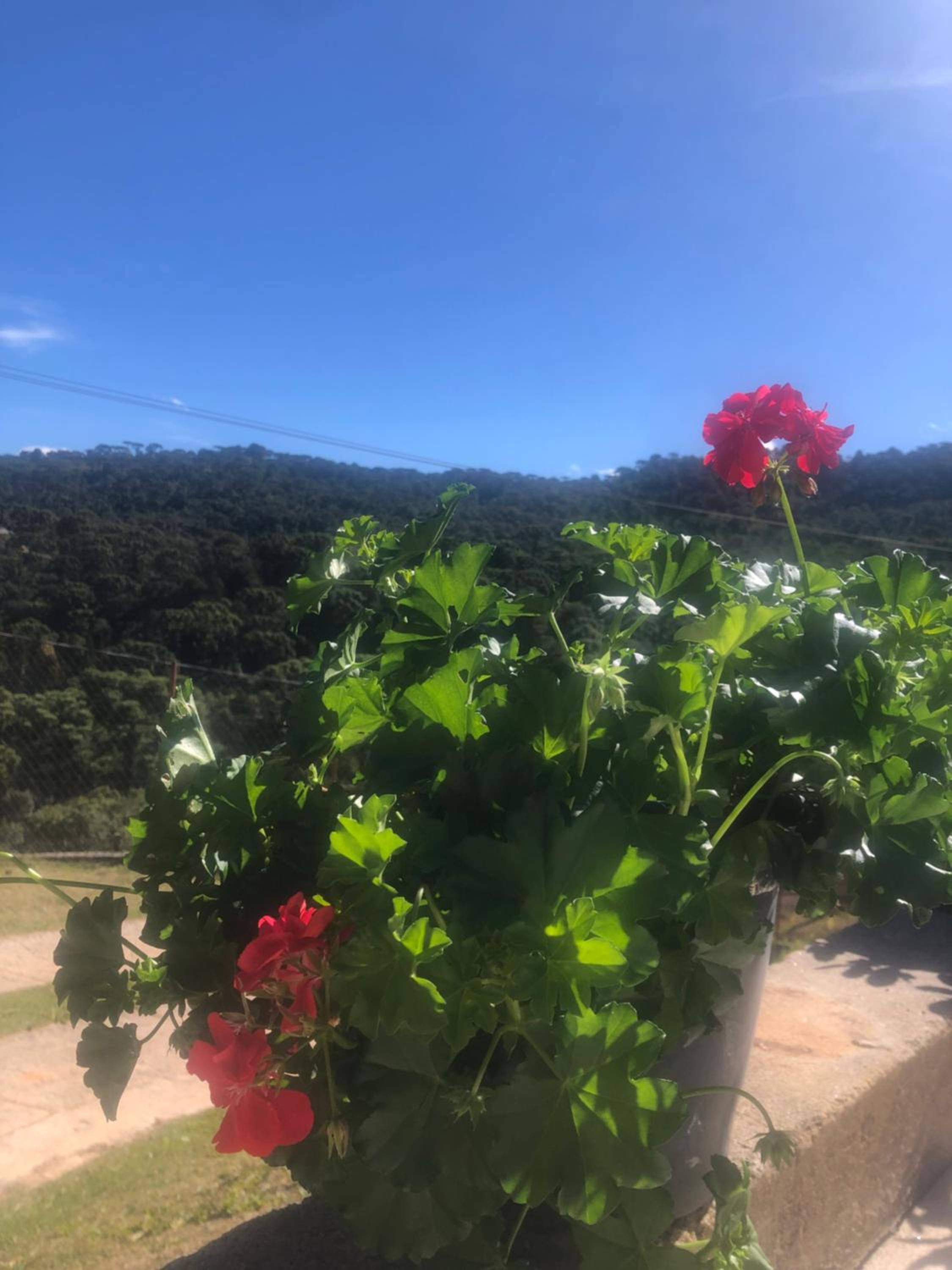 Casa Aconchegante na Montanha