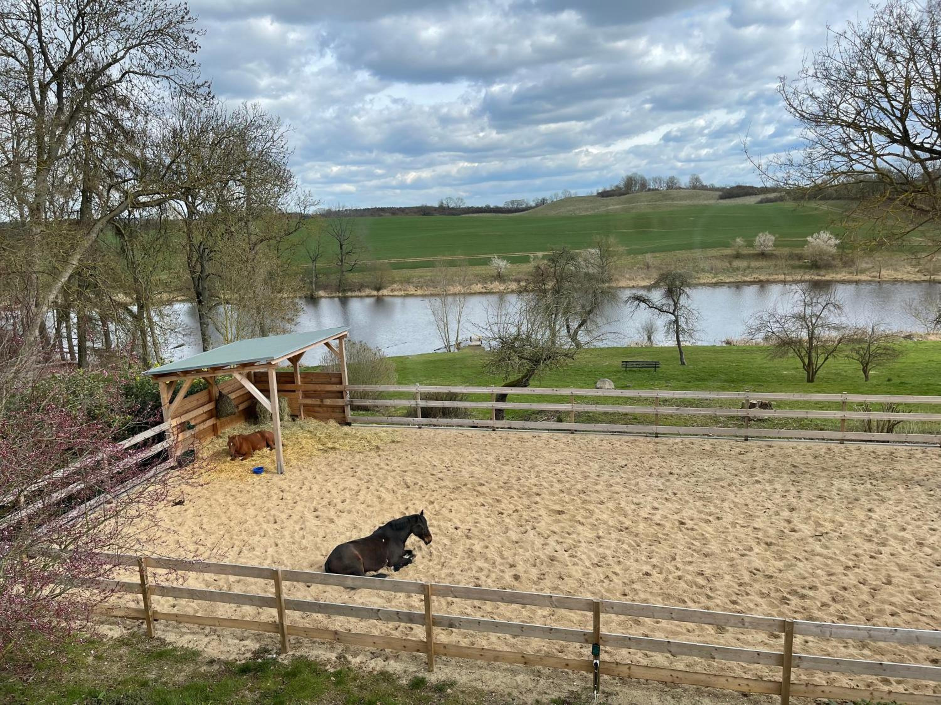 Ferienwohnung mit Kamin und traumhafter Dachterrasse mit Weitblick in die Natur