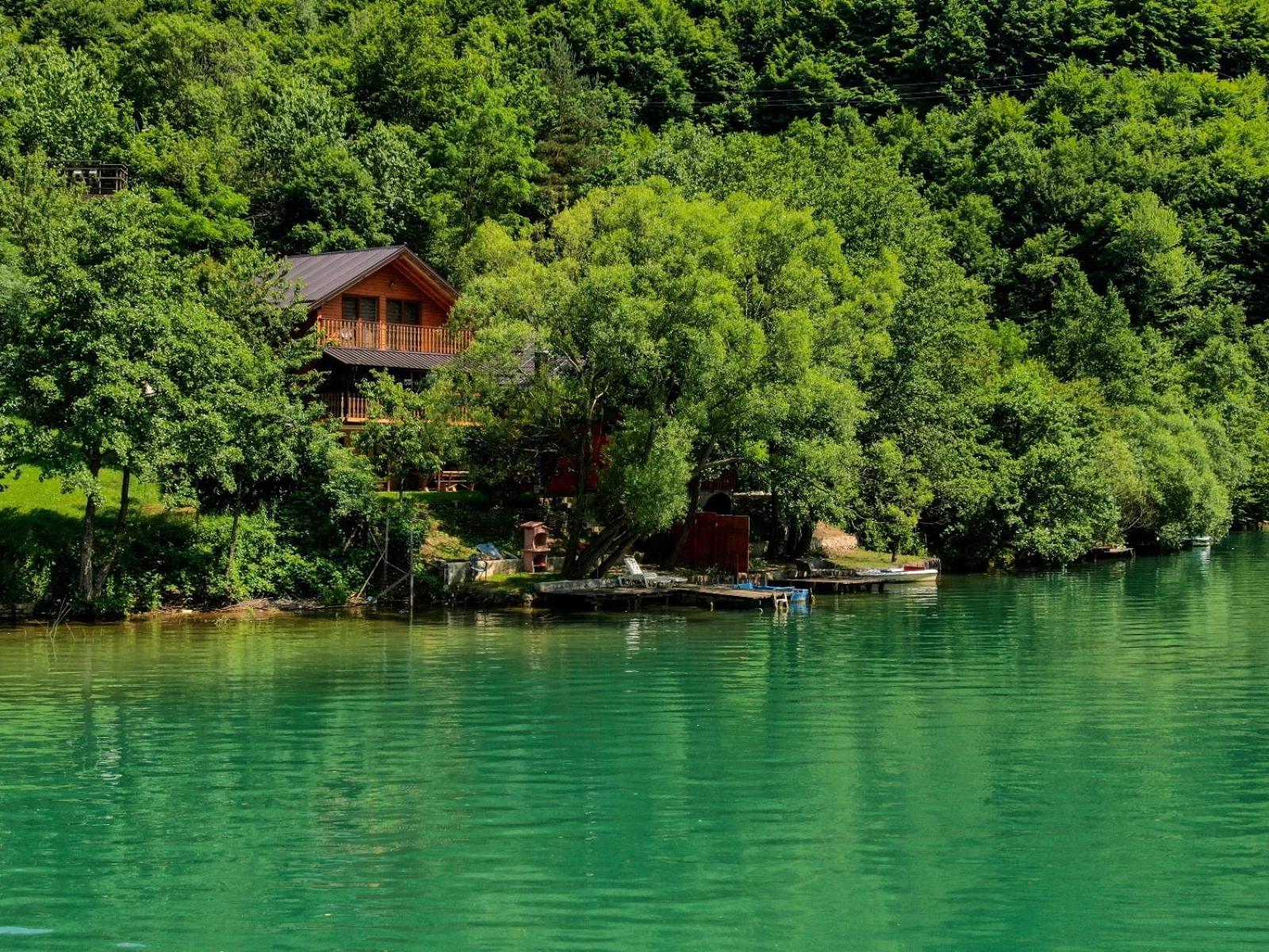 Forest Dream Lake House