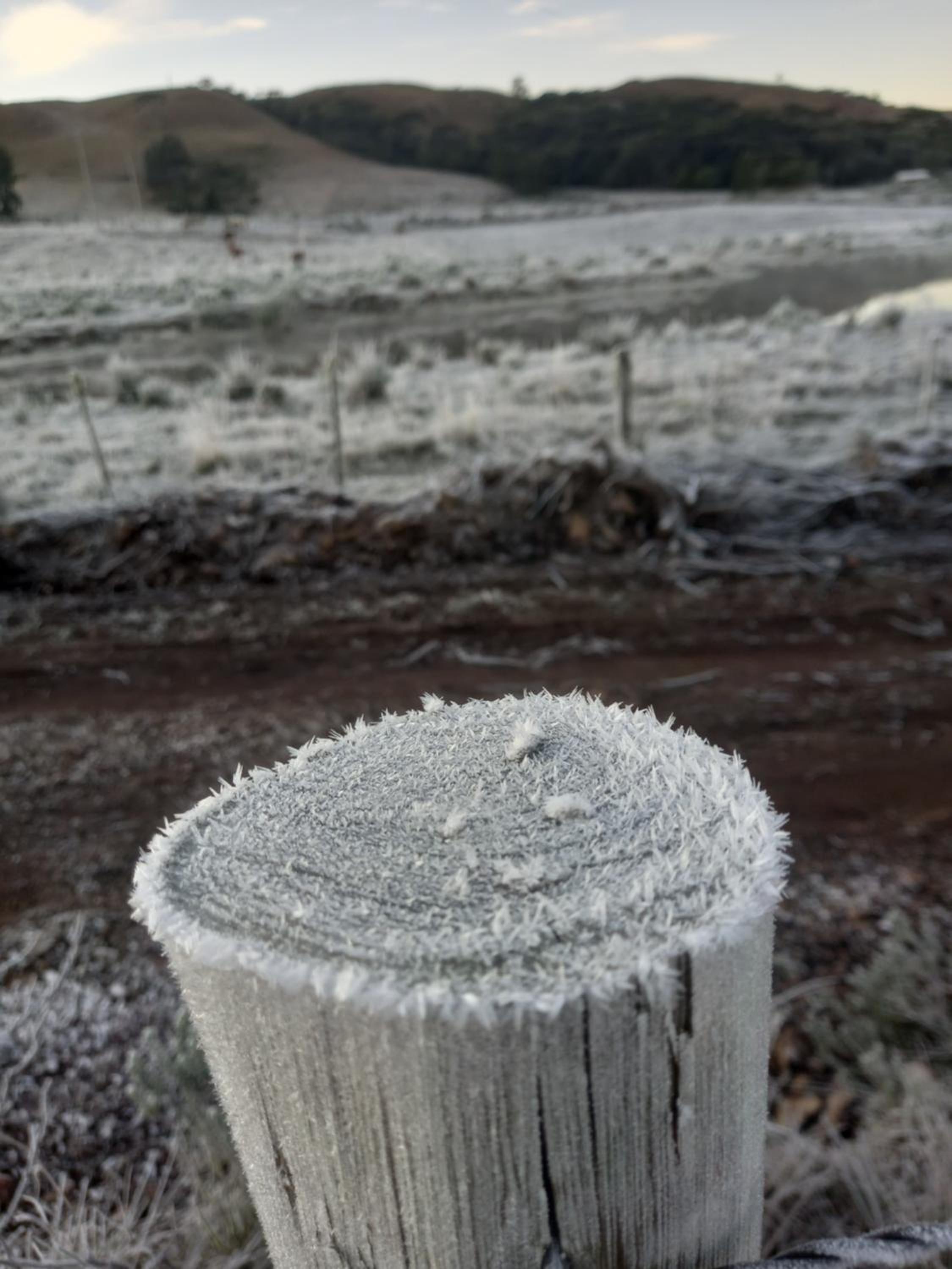 KARAPOTÓ rural