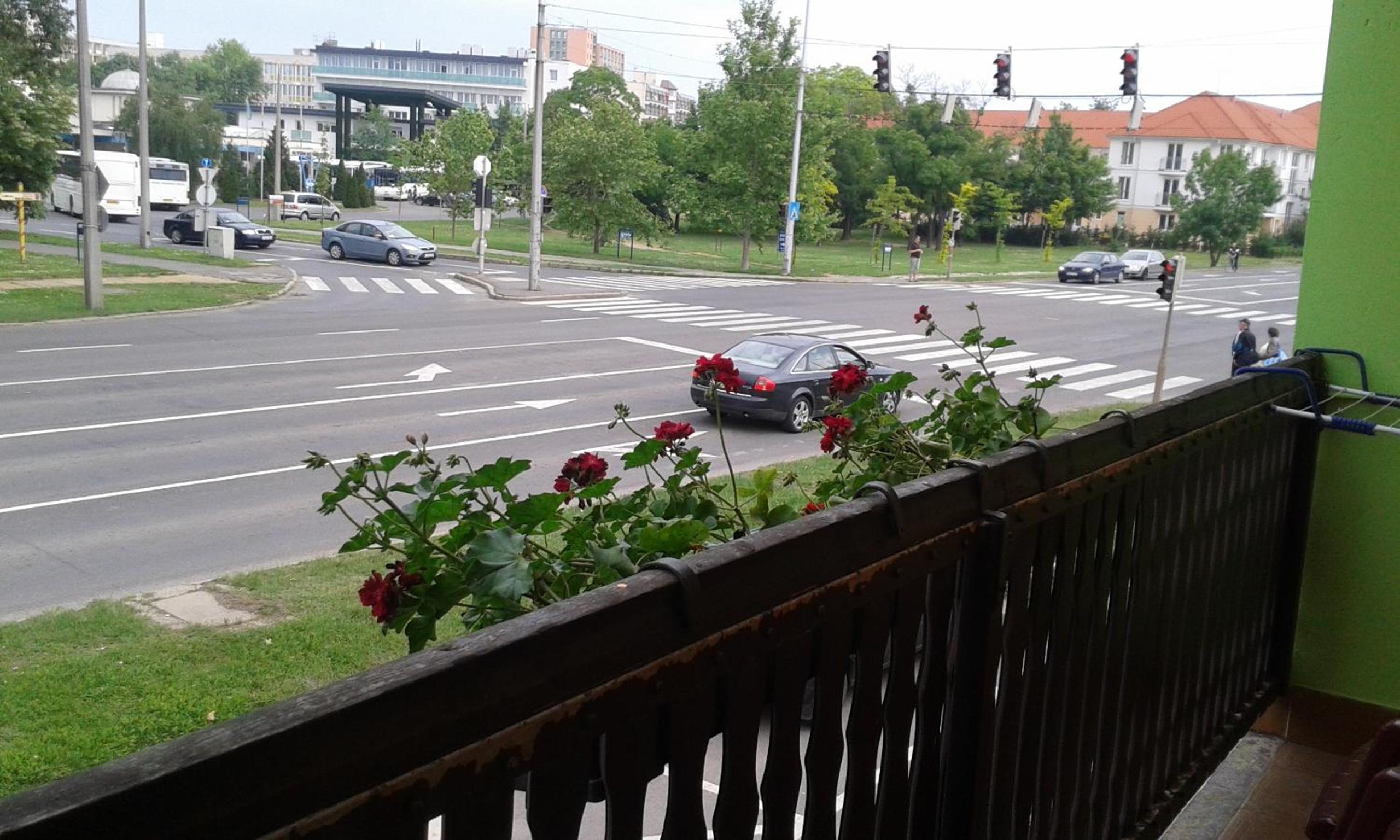 Photo 45