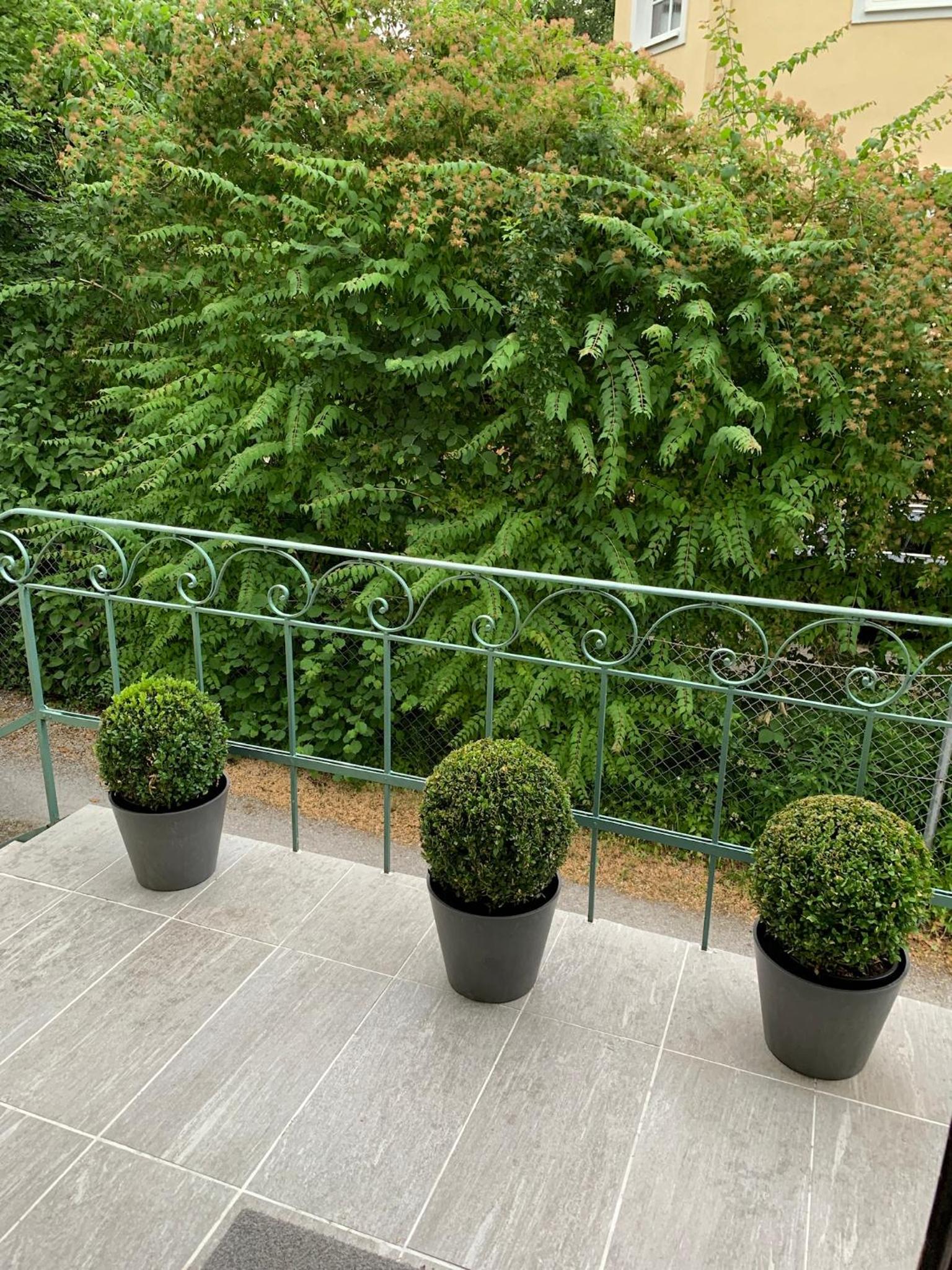 Salzburg Vacations - Privatzimmervermietung - Property Image 19