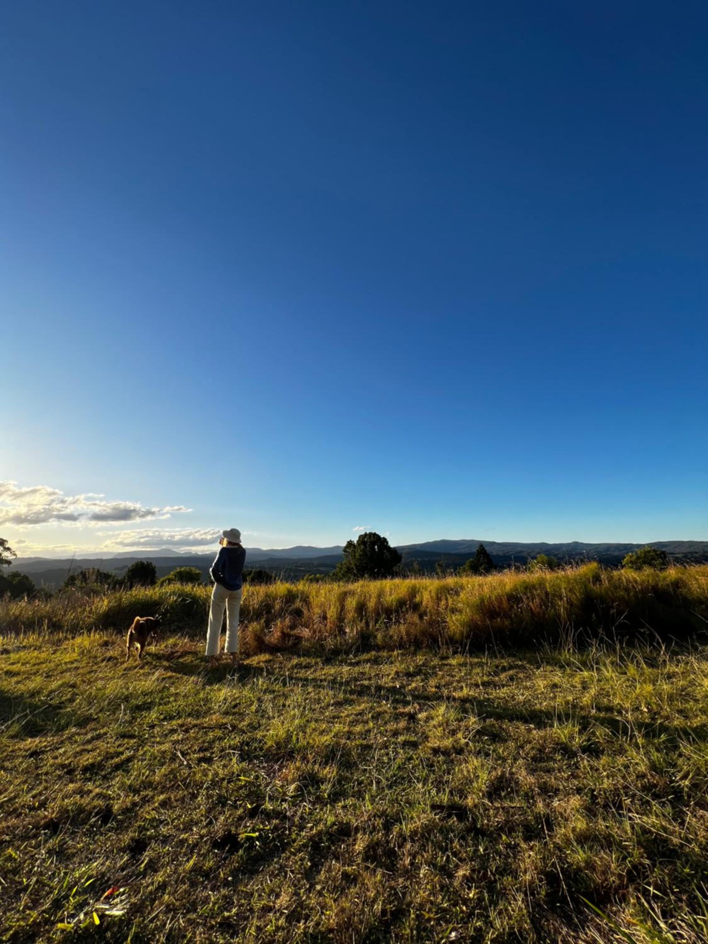 The Old Shop - Byron Region Hinterland