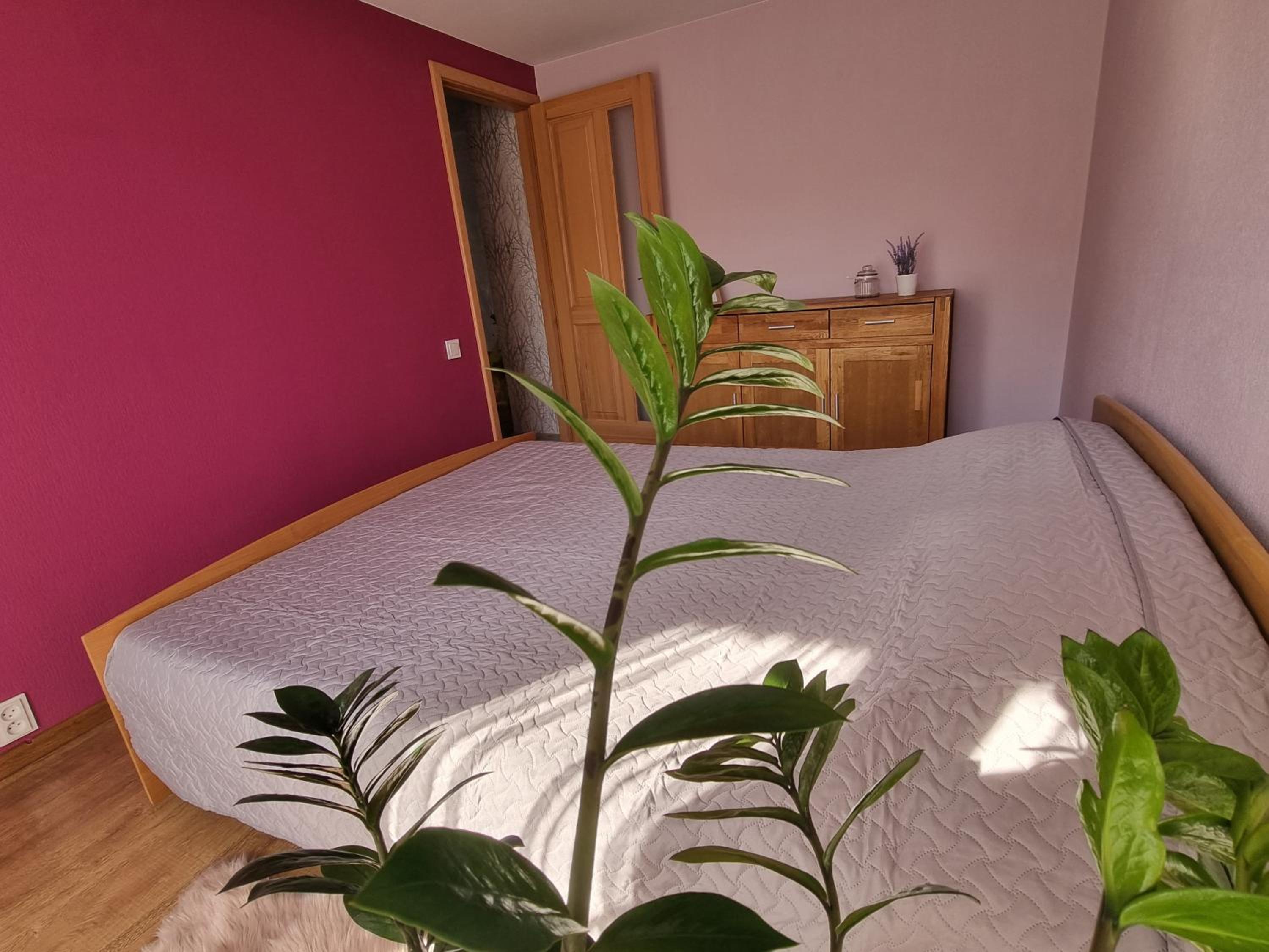 Apartment Kurši