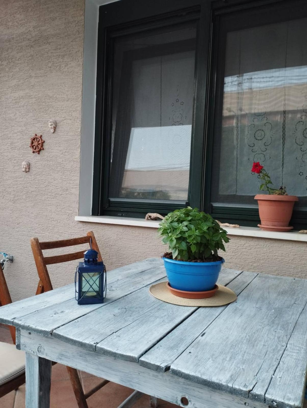 elea home apartments