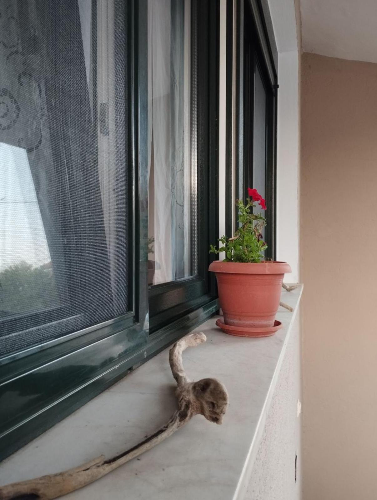 elea home apartments