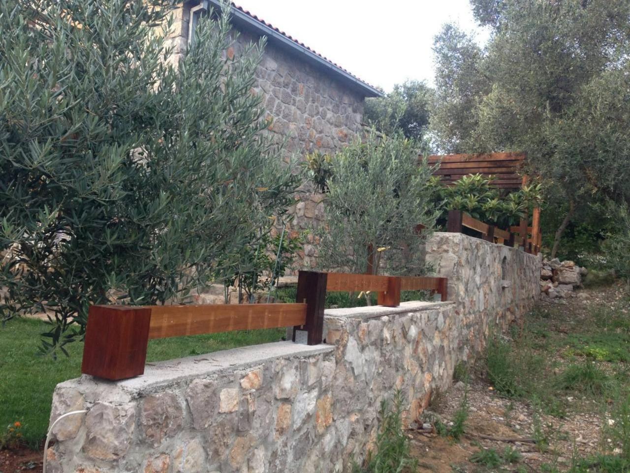 Photo 12