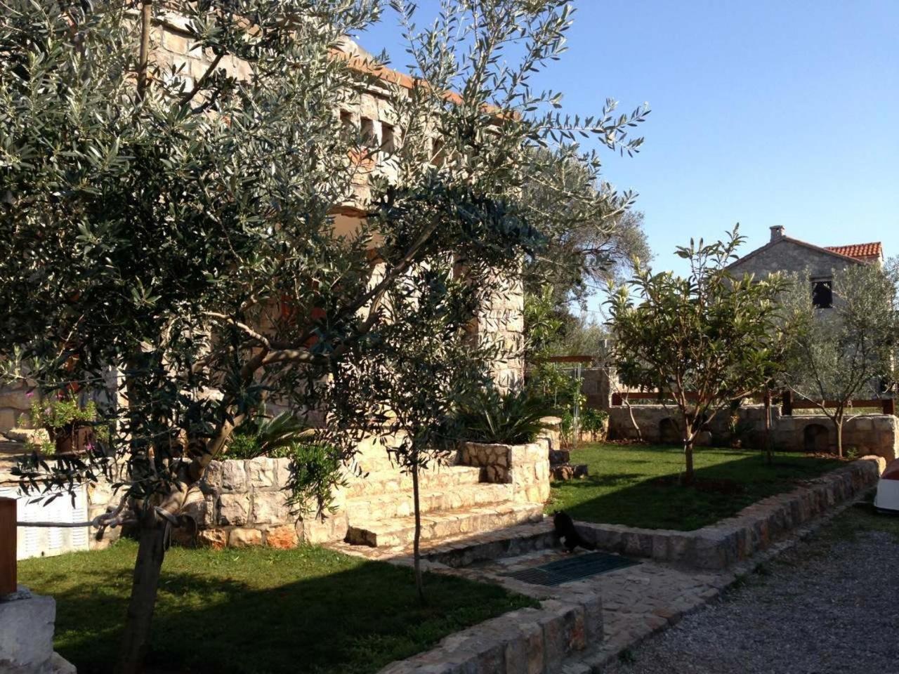 Photo 8