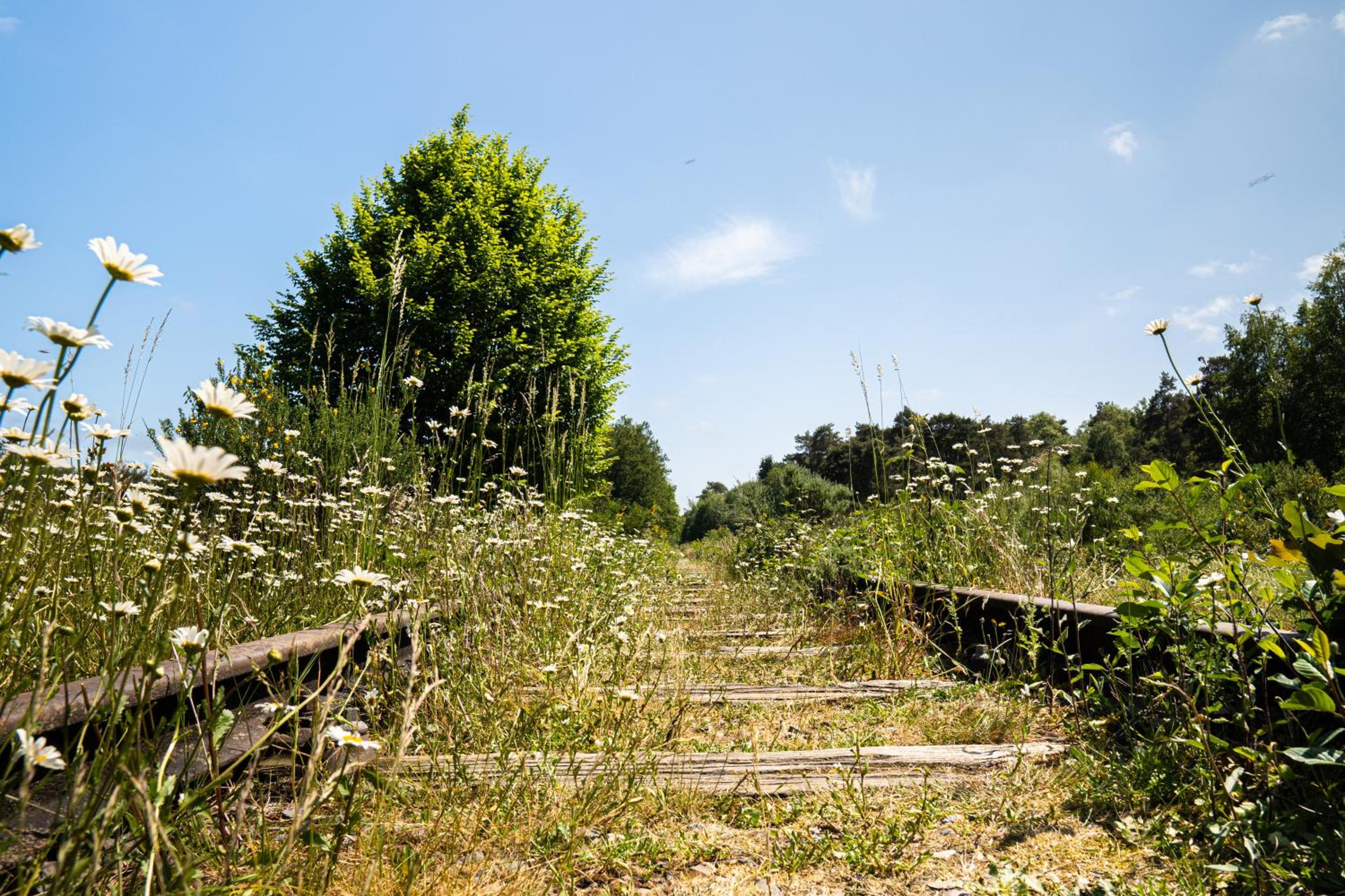 Photo 30