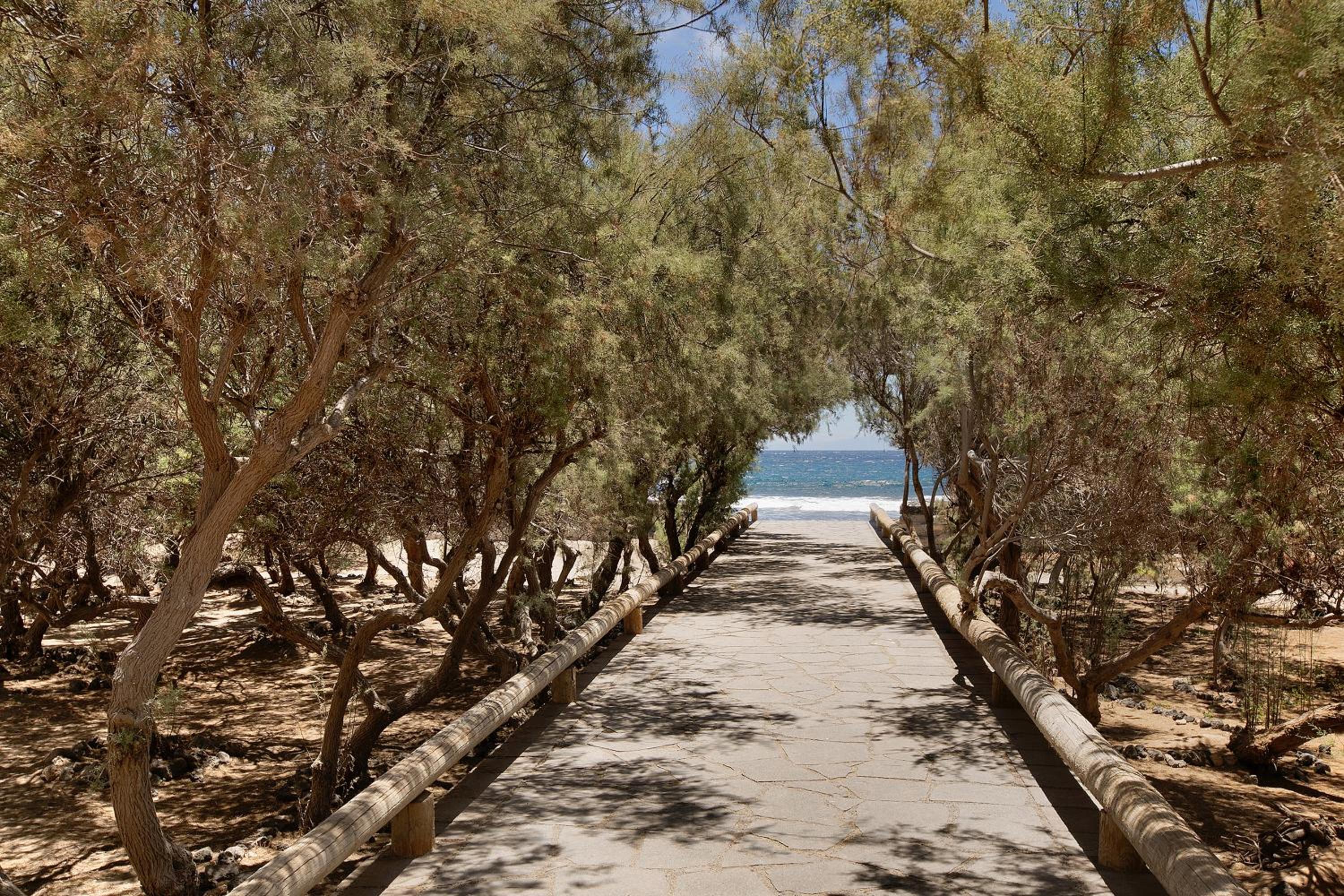 Medano Beach Home Ocean View