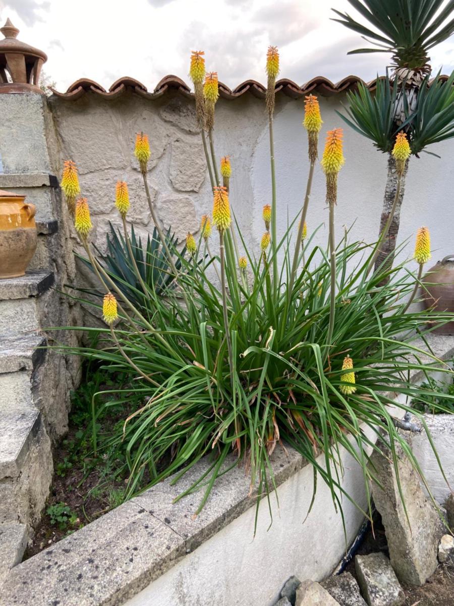 Le gite de la Lombriere