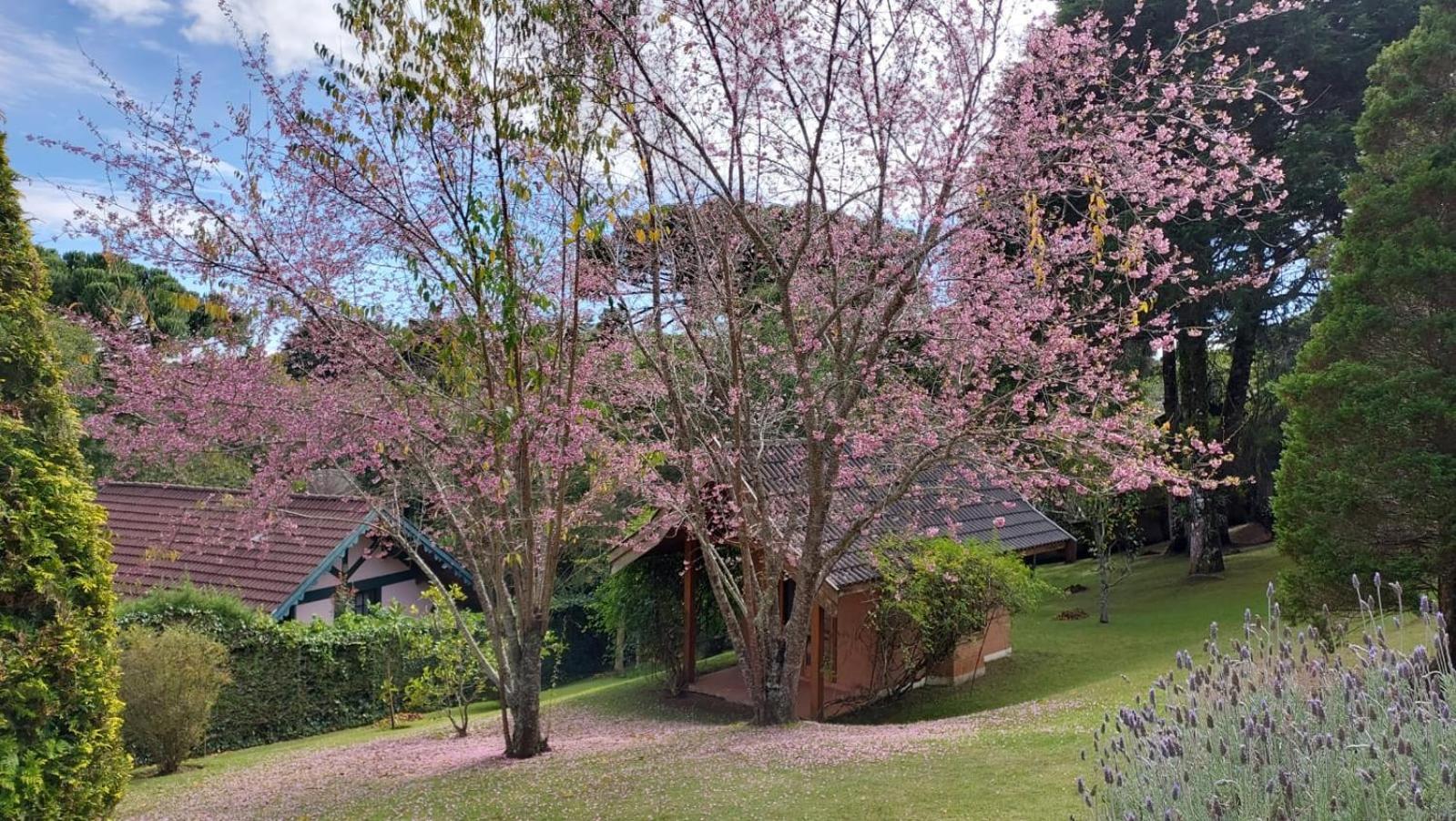 Casa com espaço de sobra!