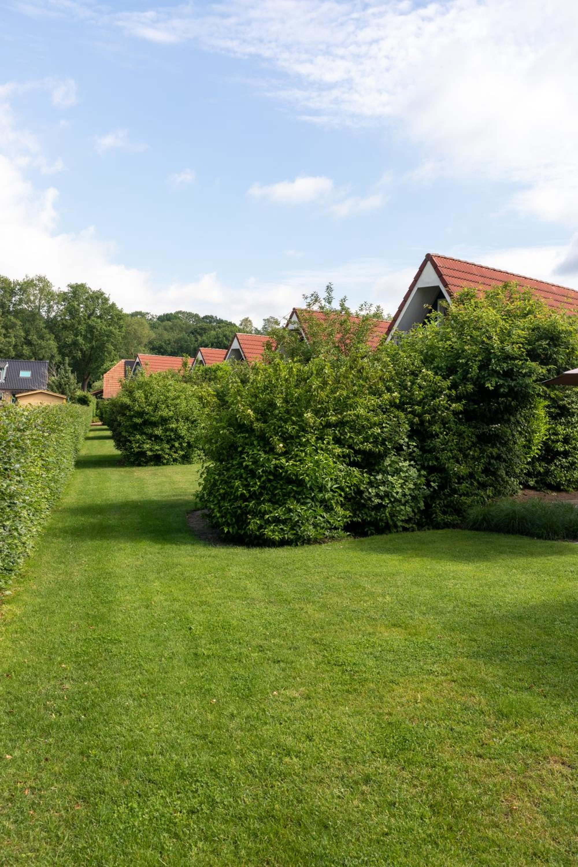 Vakantie bij Meeussen - Molendal