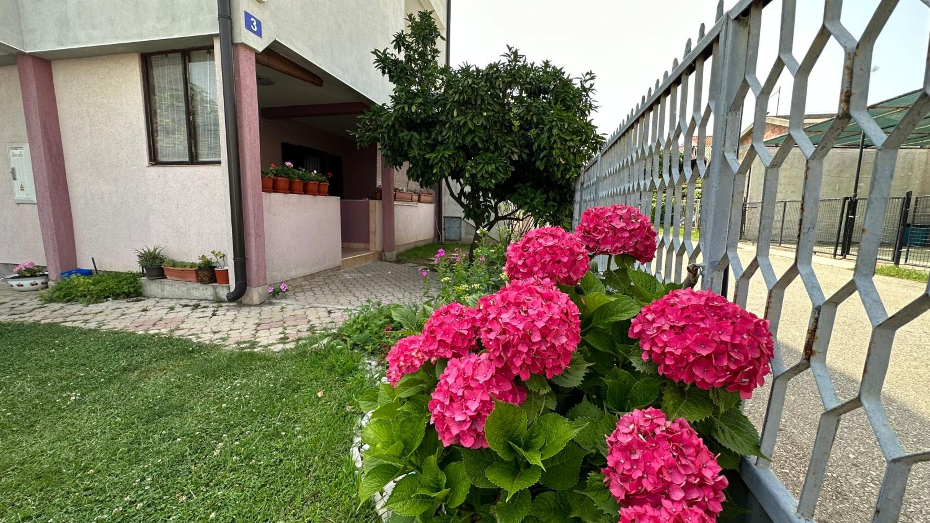 Photo 28