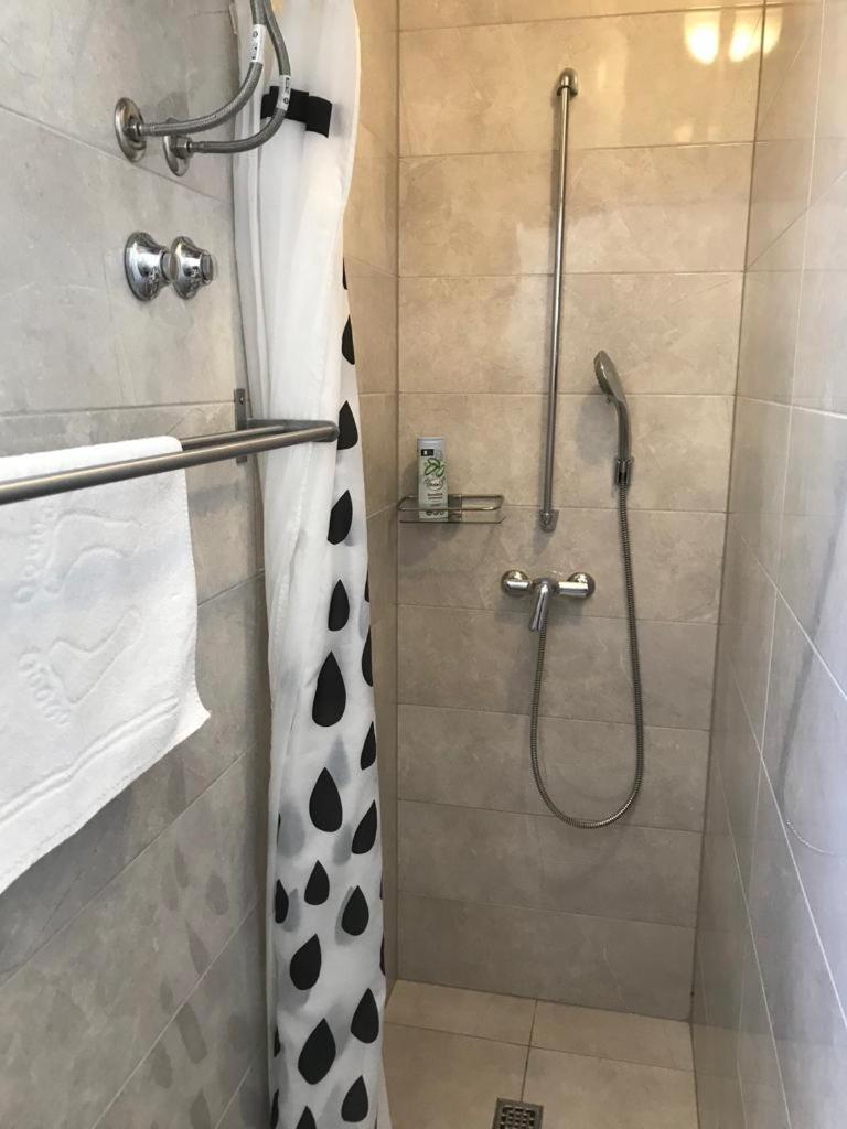 Apartment PALATISA