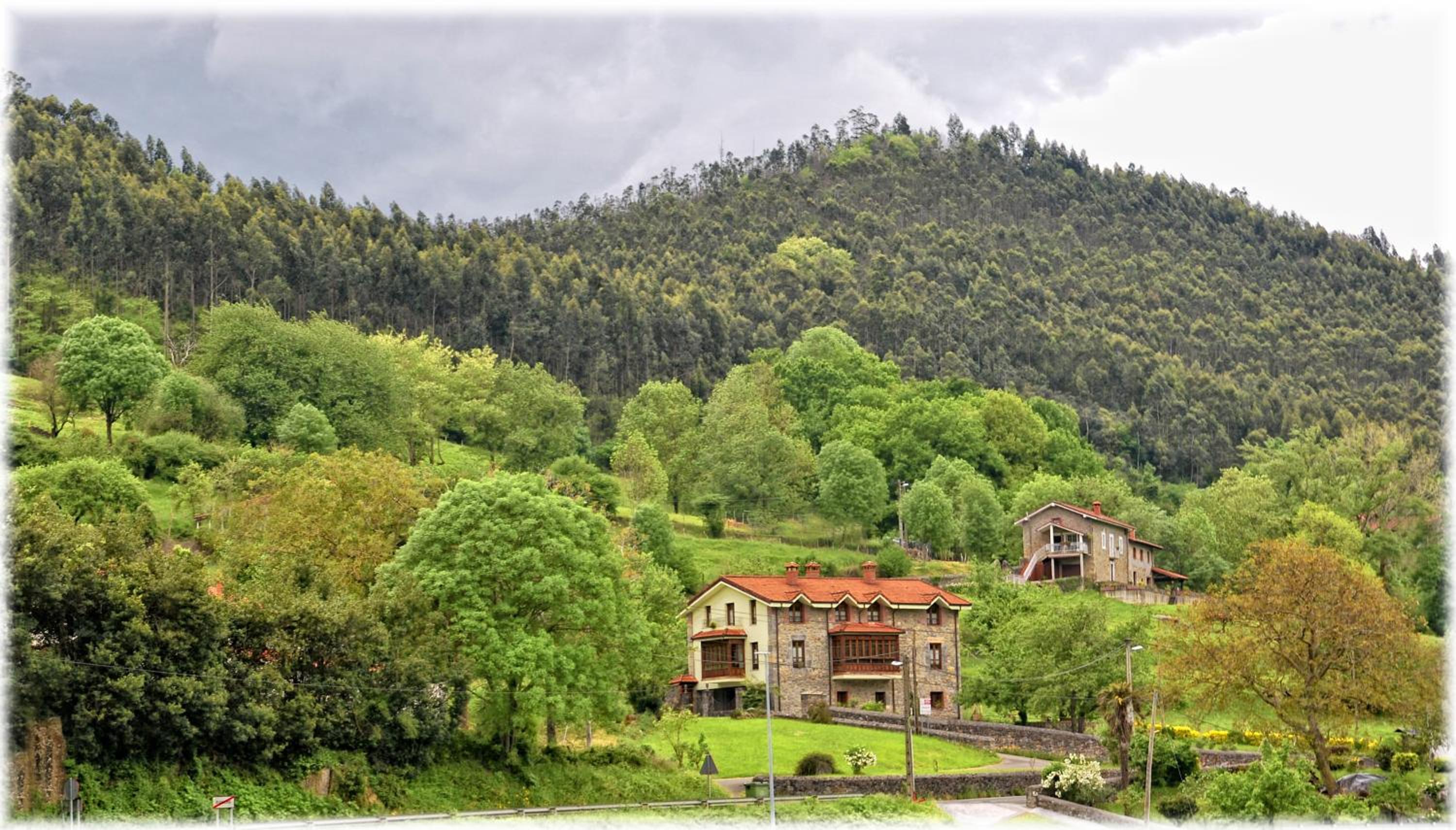 Finca Artienza