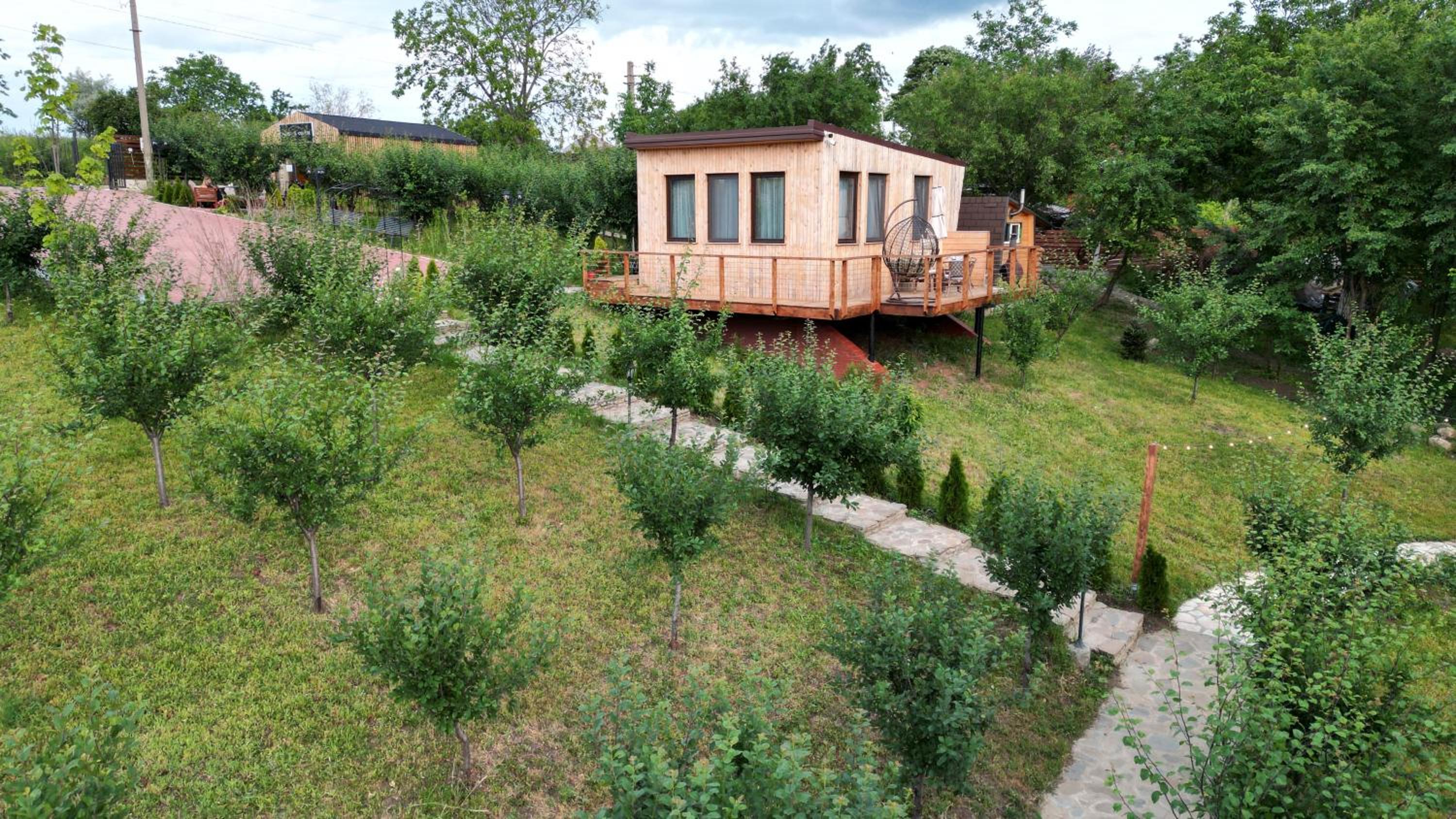 Photo 11