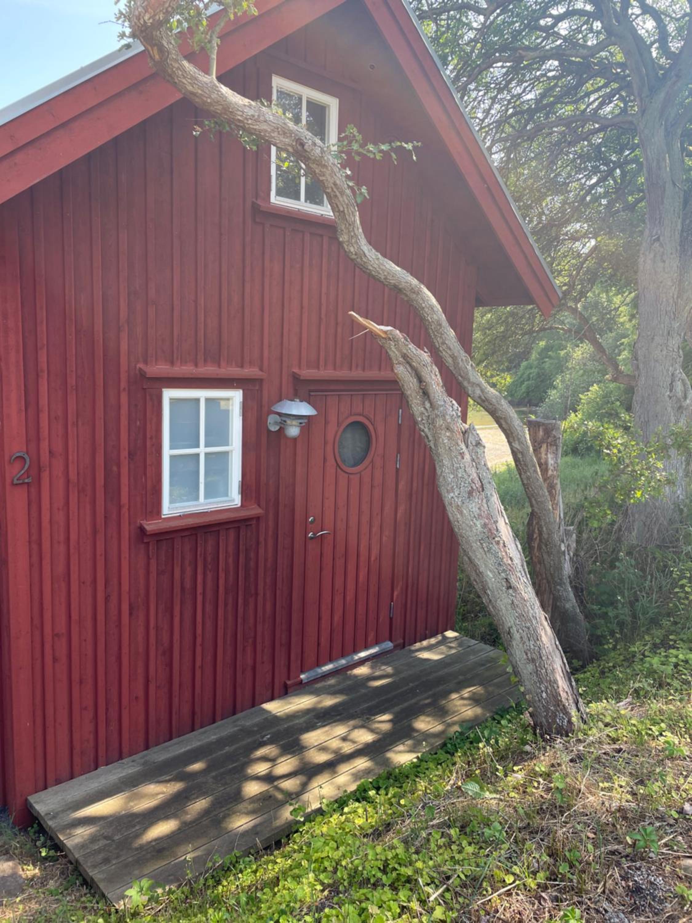 Photo 18