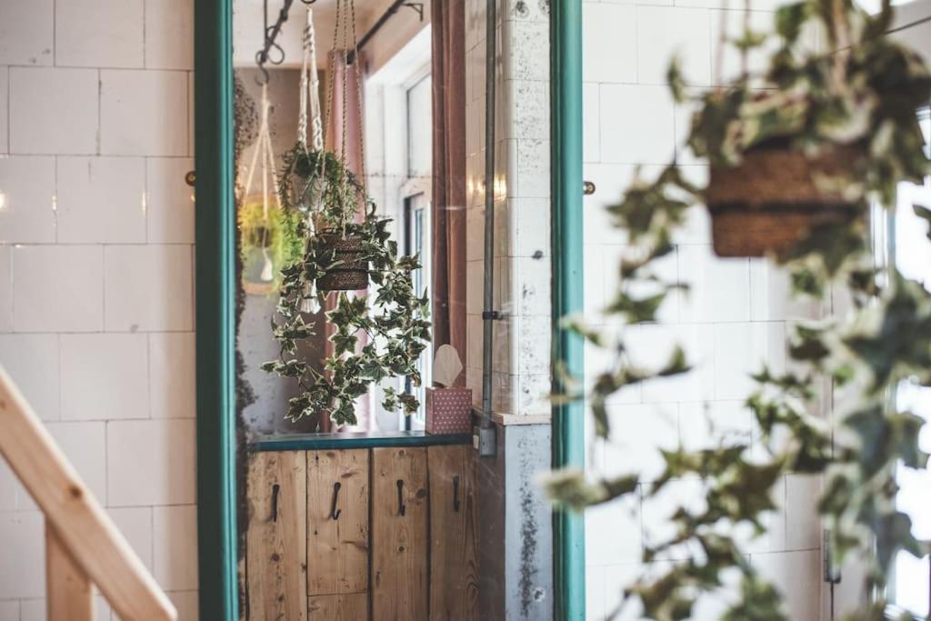 The Old Shop, Studio Hideout, Stoke Fleming