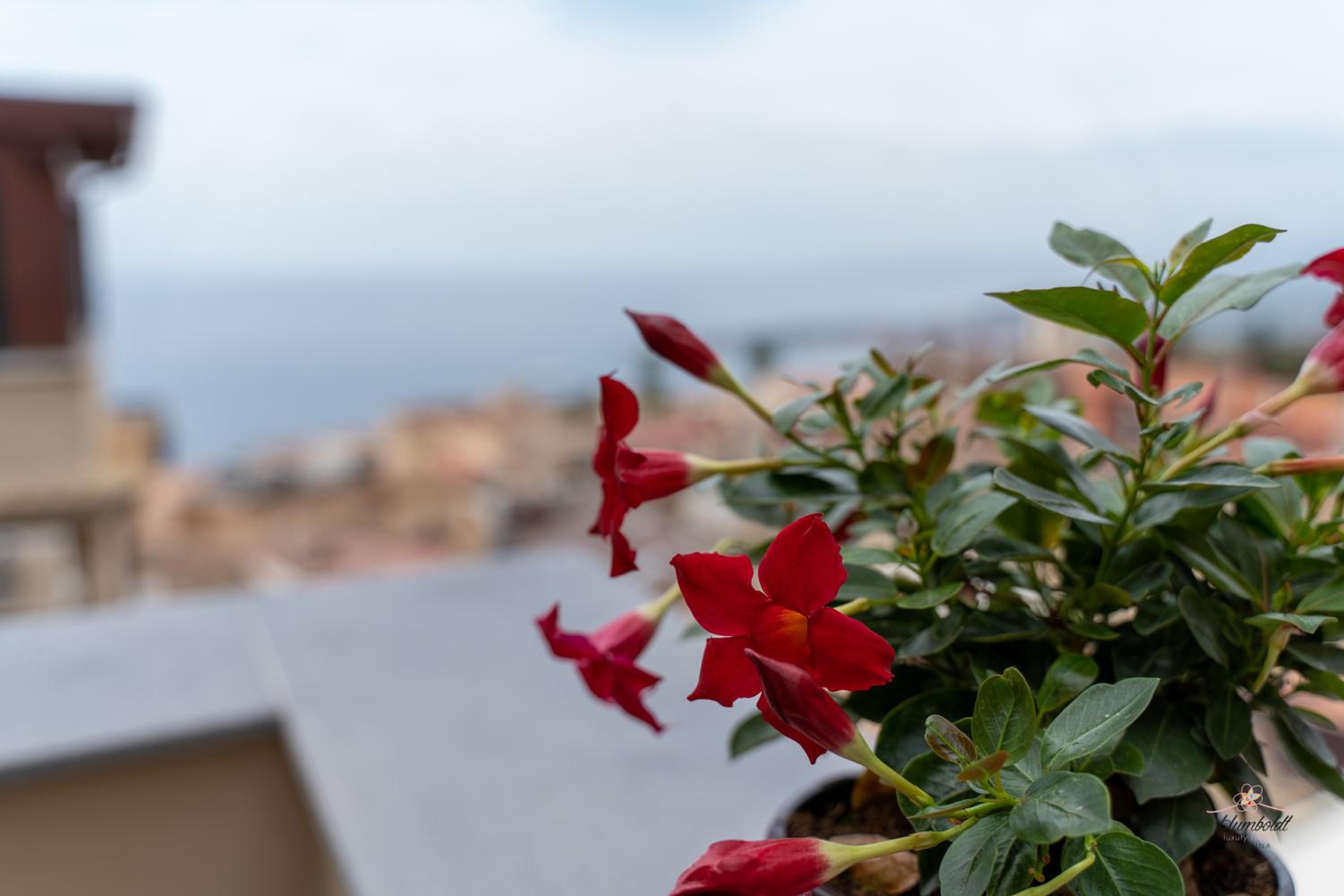 Humboldt Luxury Rooms Taormina