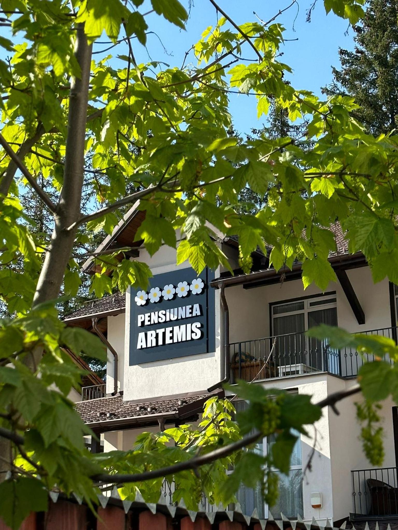Artemis Villa view 5