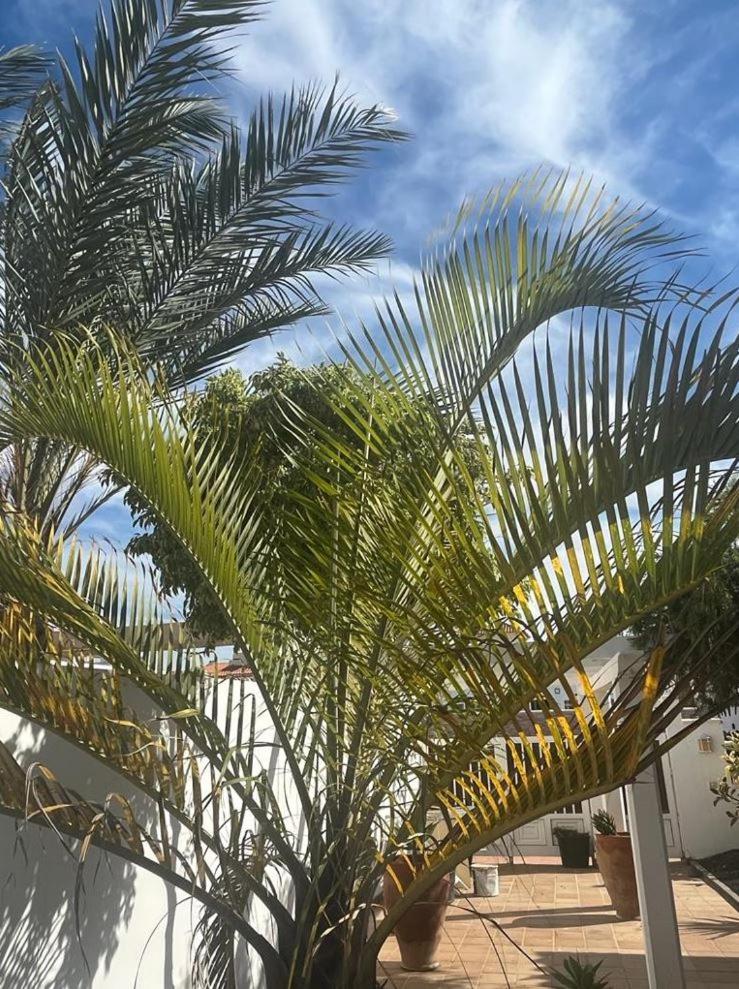Villa La Hubara