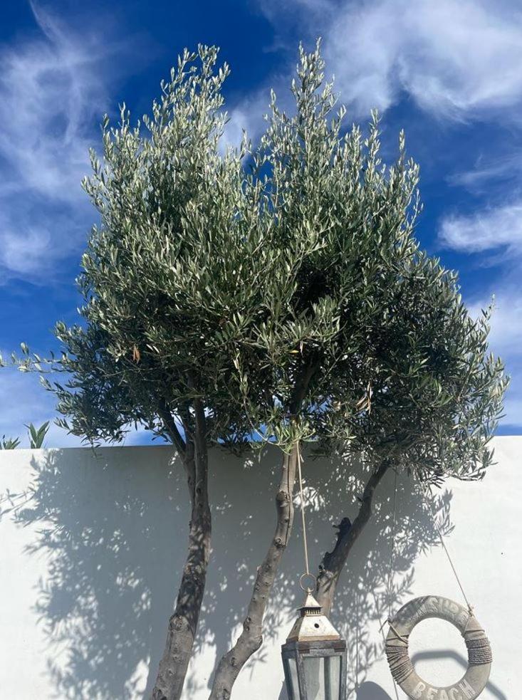 Villa La Hubara