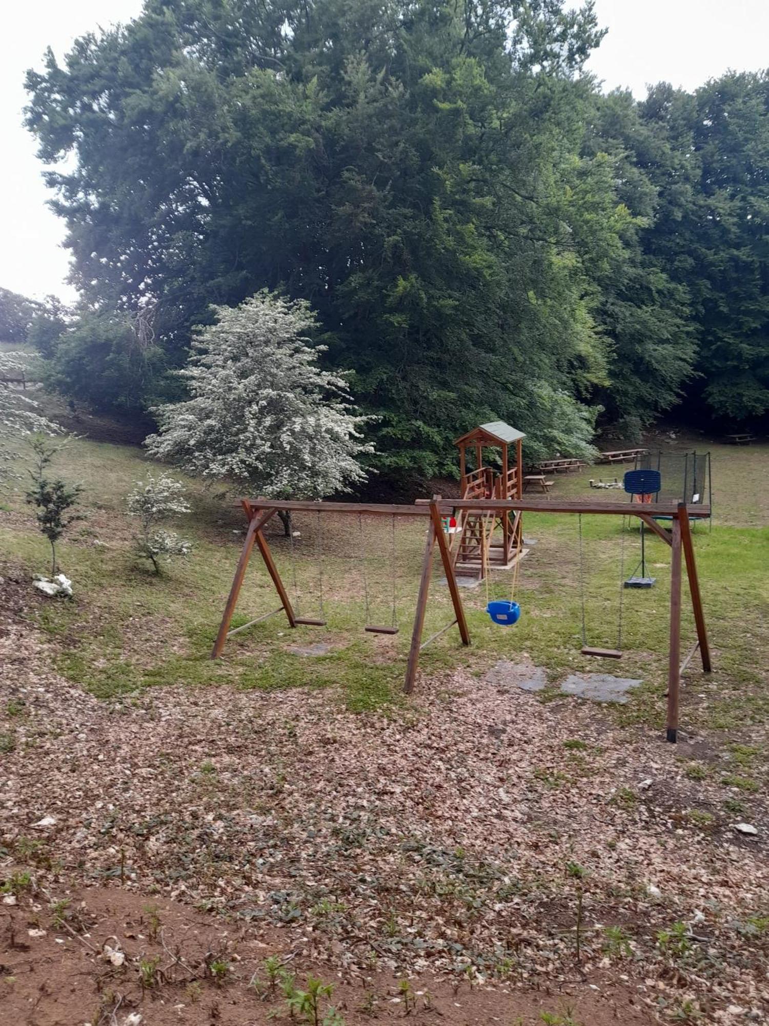 Photo 22