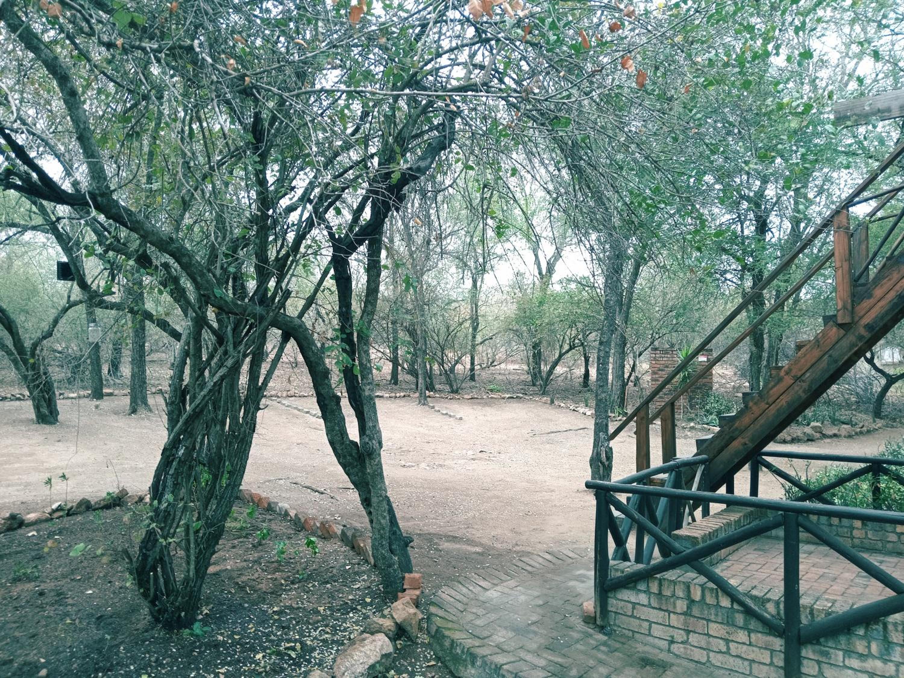 Kruger Dreams Lodge