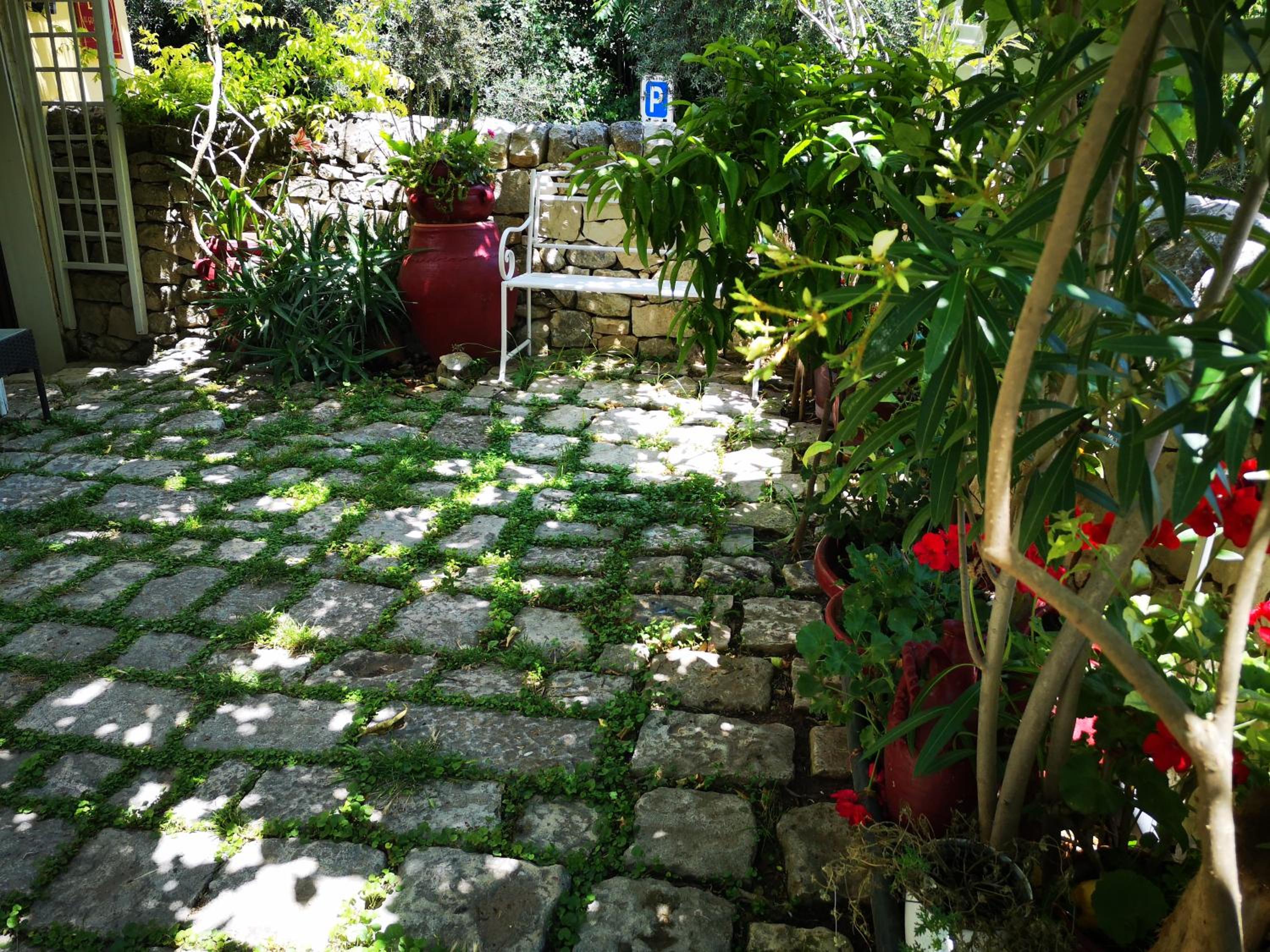 Photo 35