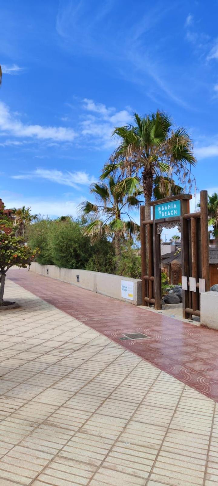 Lovely Primavera Palm Mar