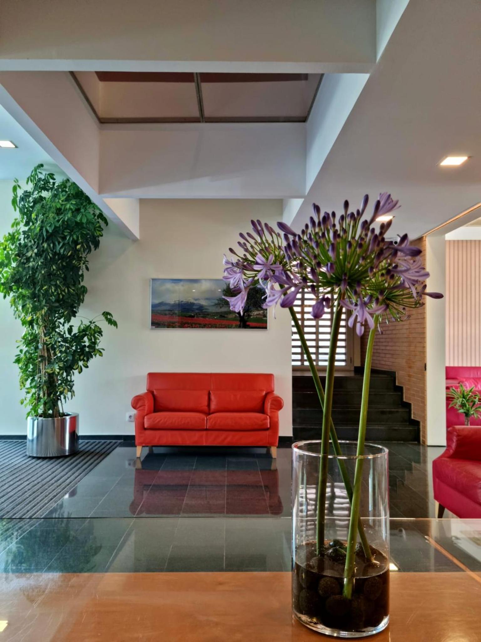 recepcion & lobby