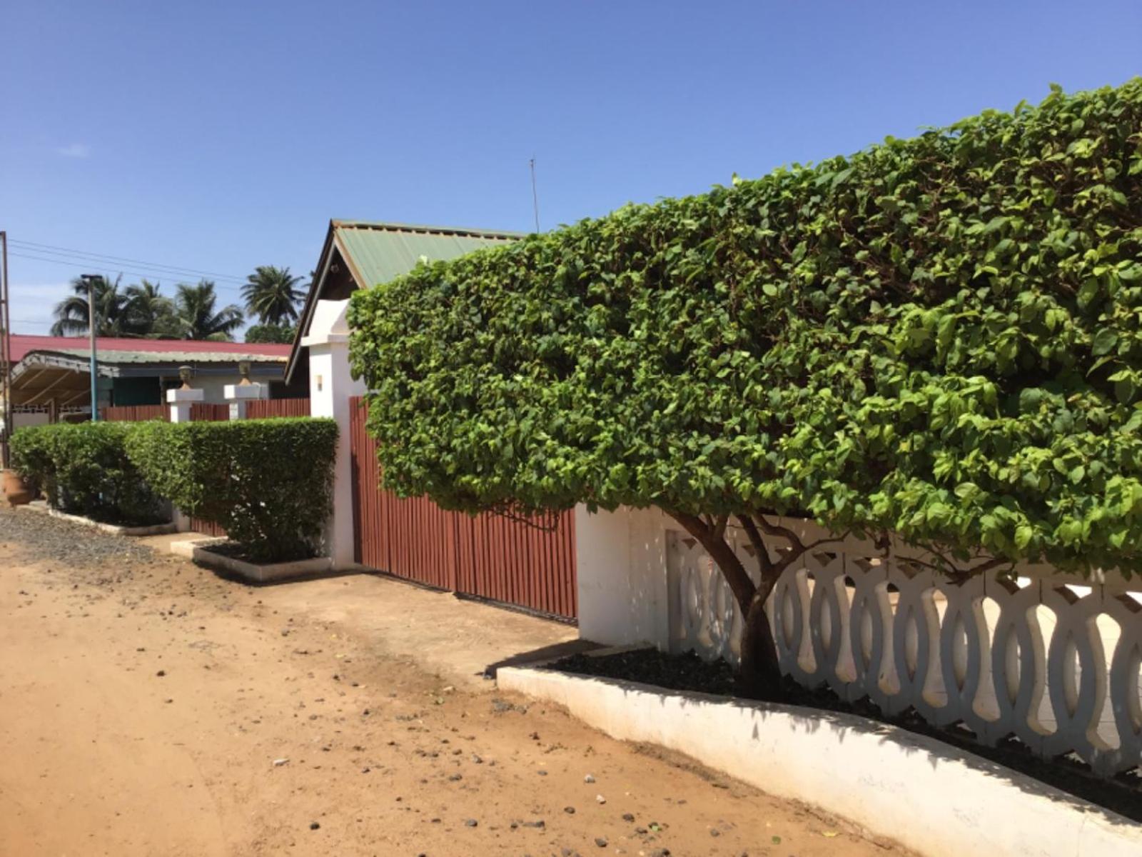 Ezime Guesthouse And Pizzeria