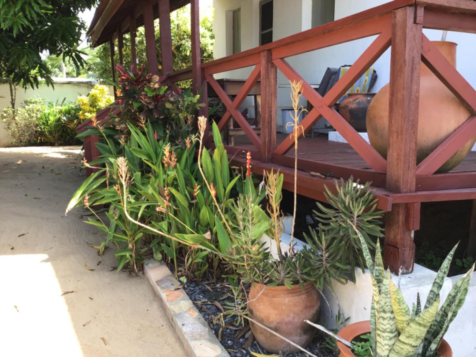 Ezime Guesthouse And Pizzeria