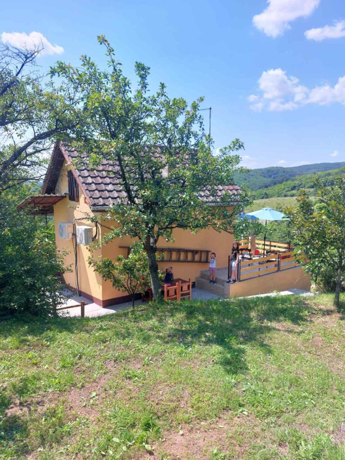 Marley kuca za odmor view 5