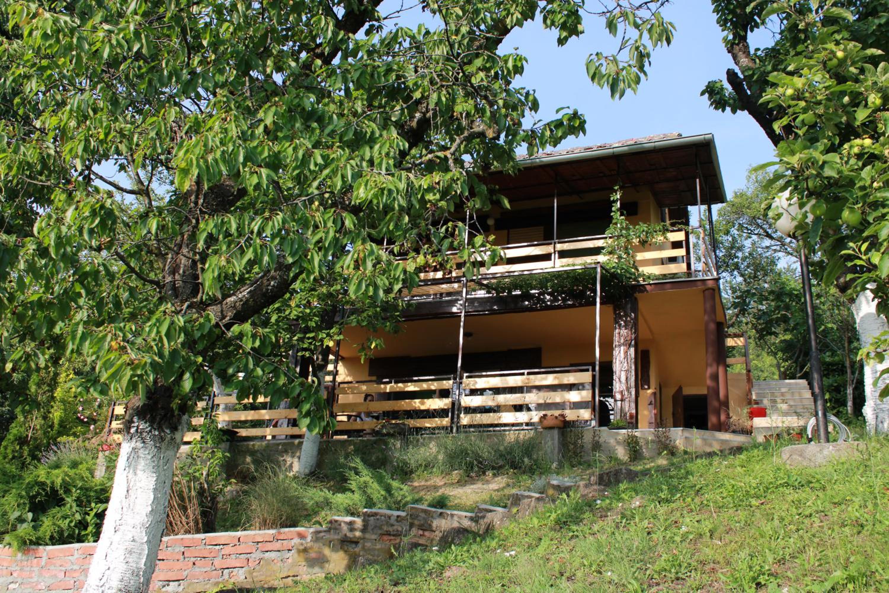 Photo 6