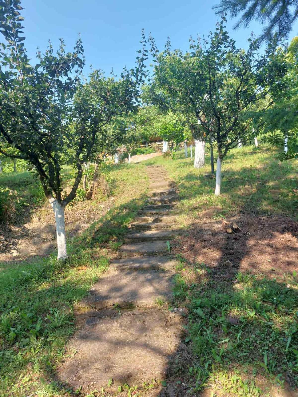 Photo 29