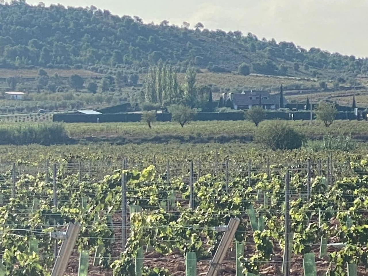 La Traviesa