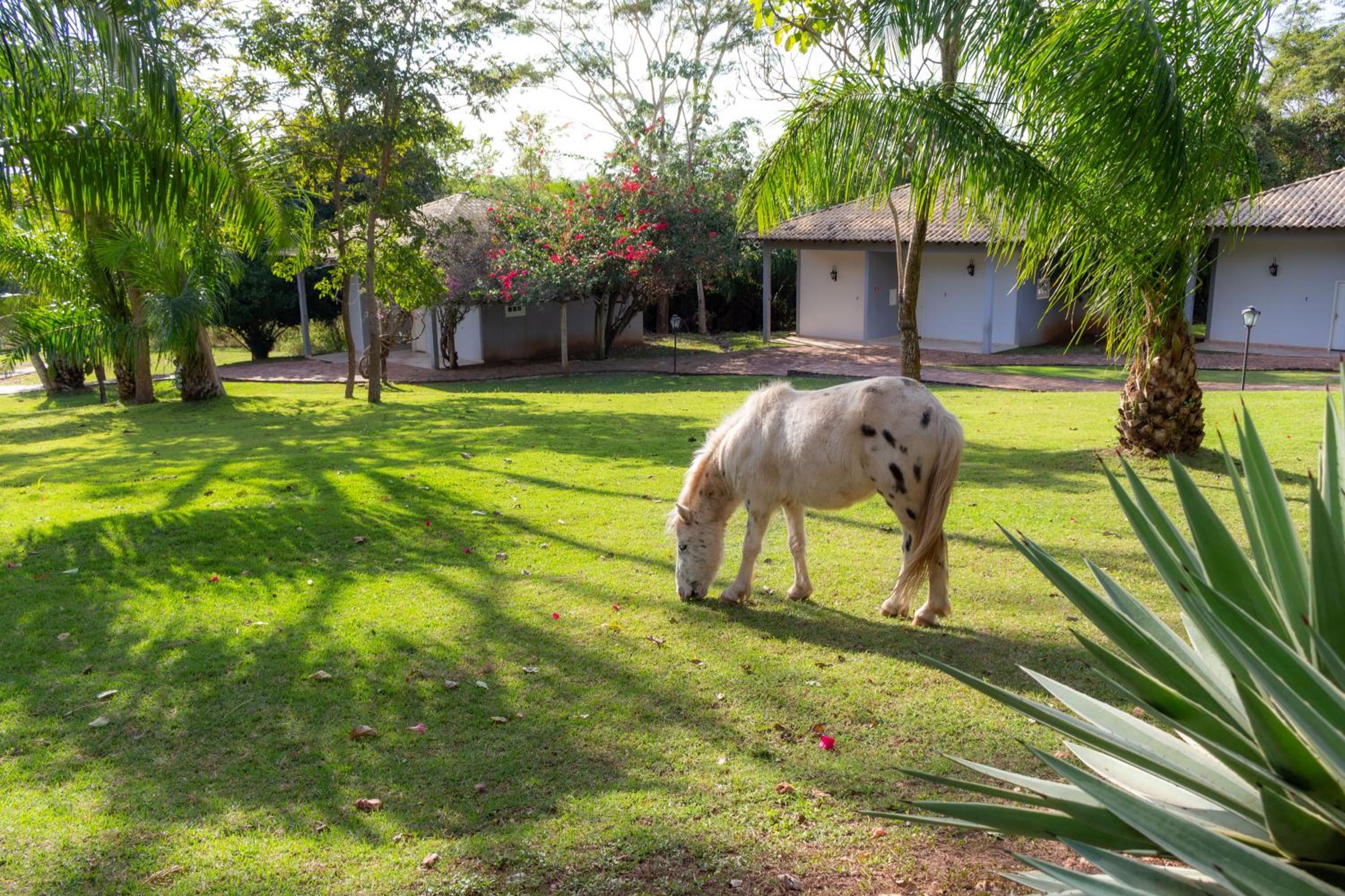 Hotel Fazenda Cachoeiras Serra da Bodoquena