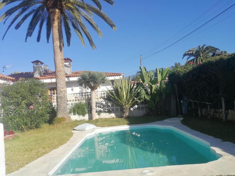 Hotel Moon in the garden - Image 1