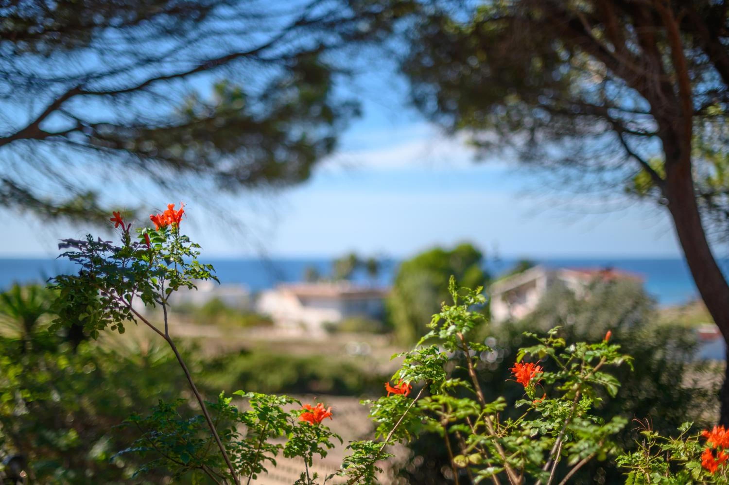Domina Levante - Exotic Villa with private SPA and Beach access