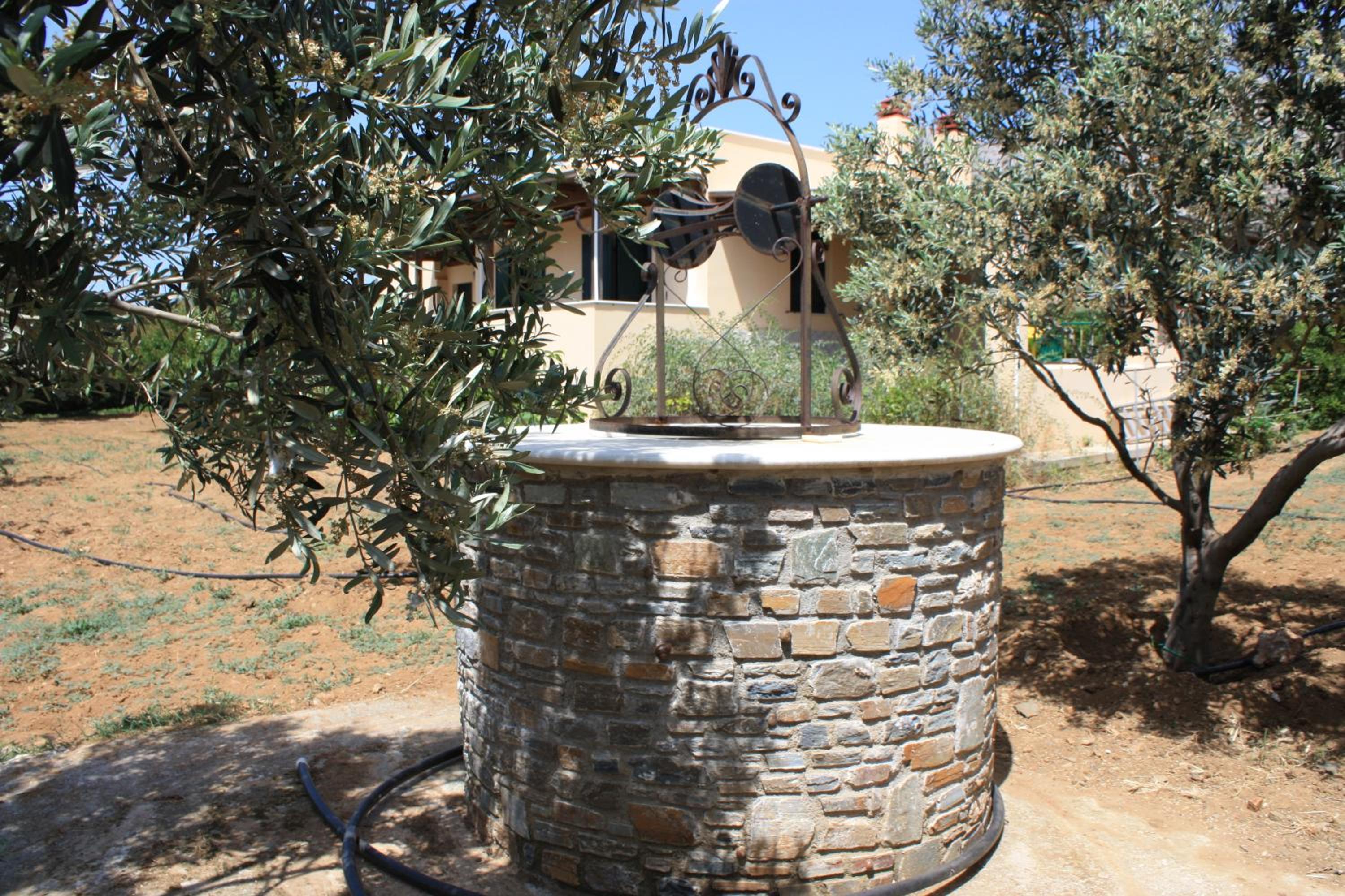 Photo 49