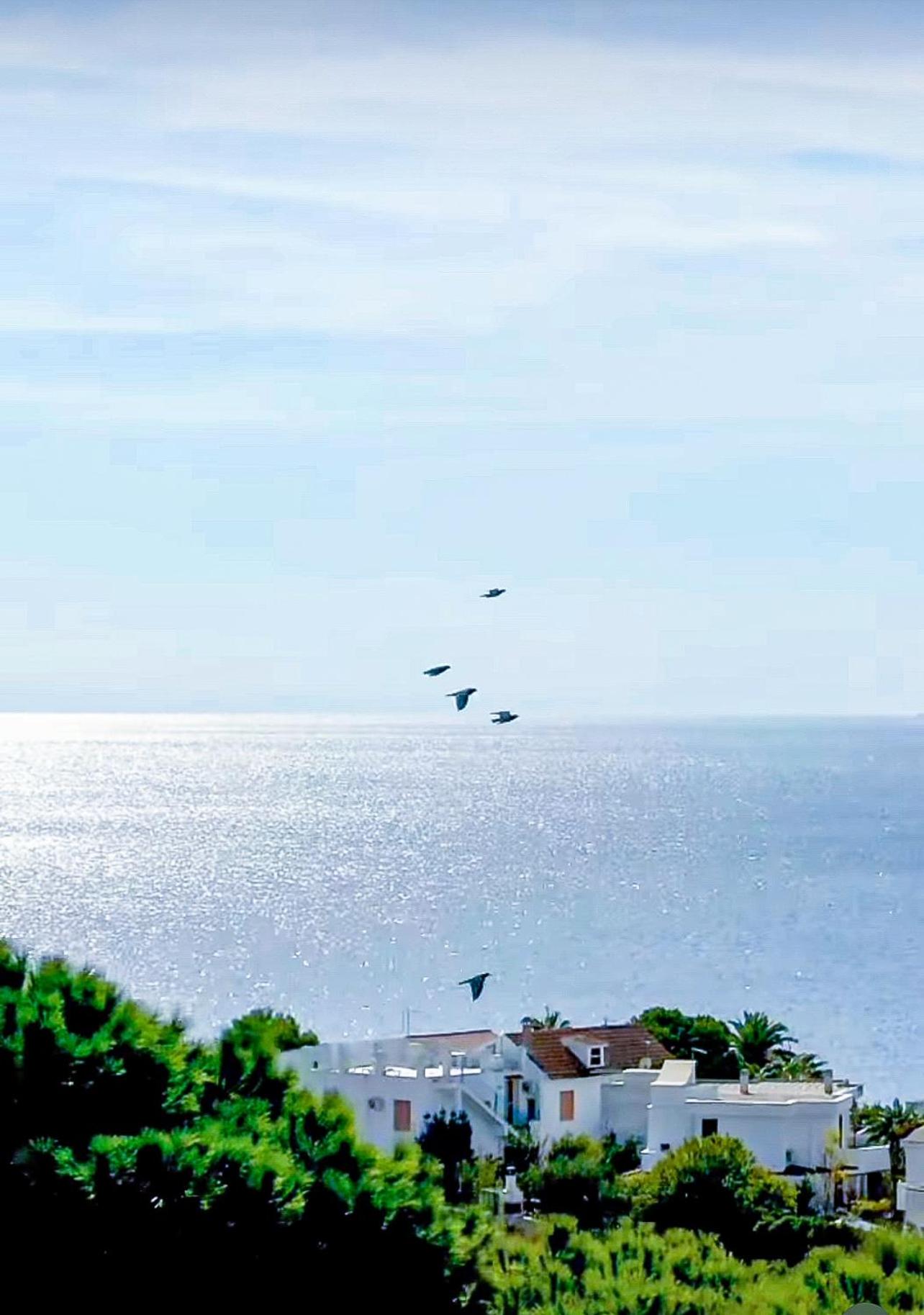 Domina Levante - Exotic Villa with private SPA and Beach access