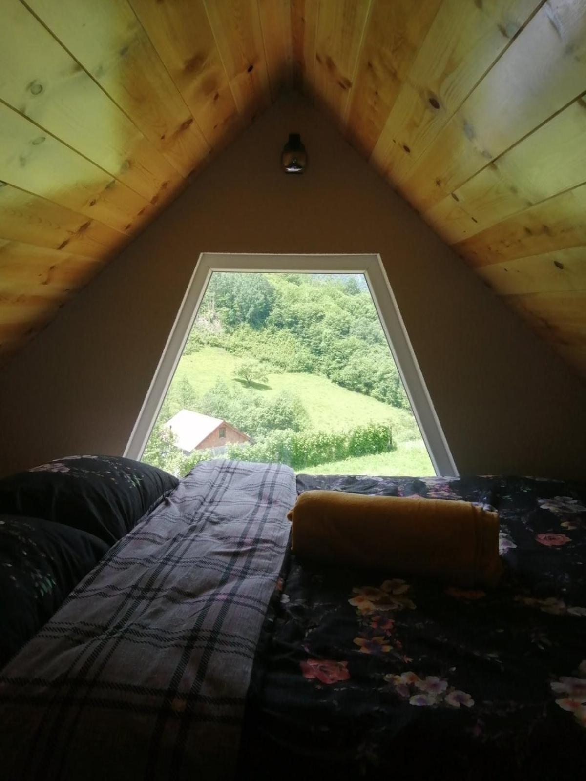 Zelena livada (Green Meadow) view 3