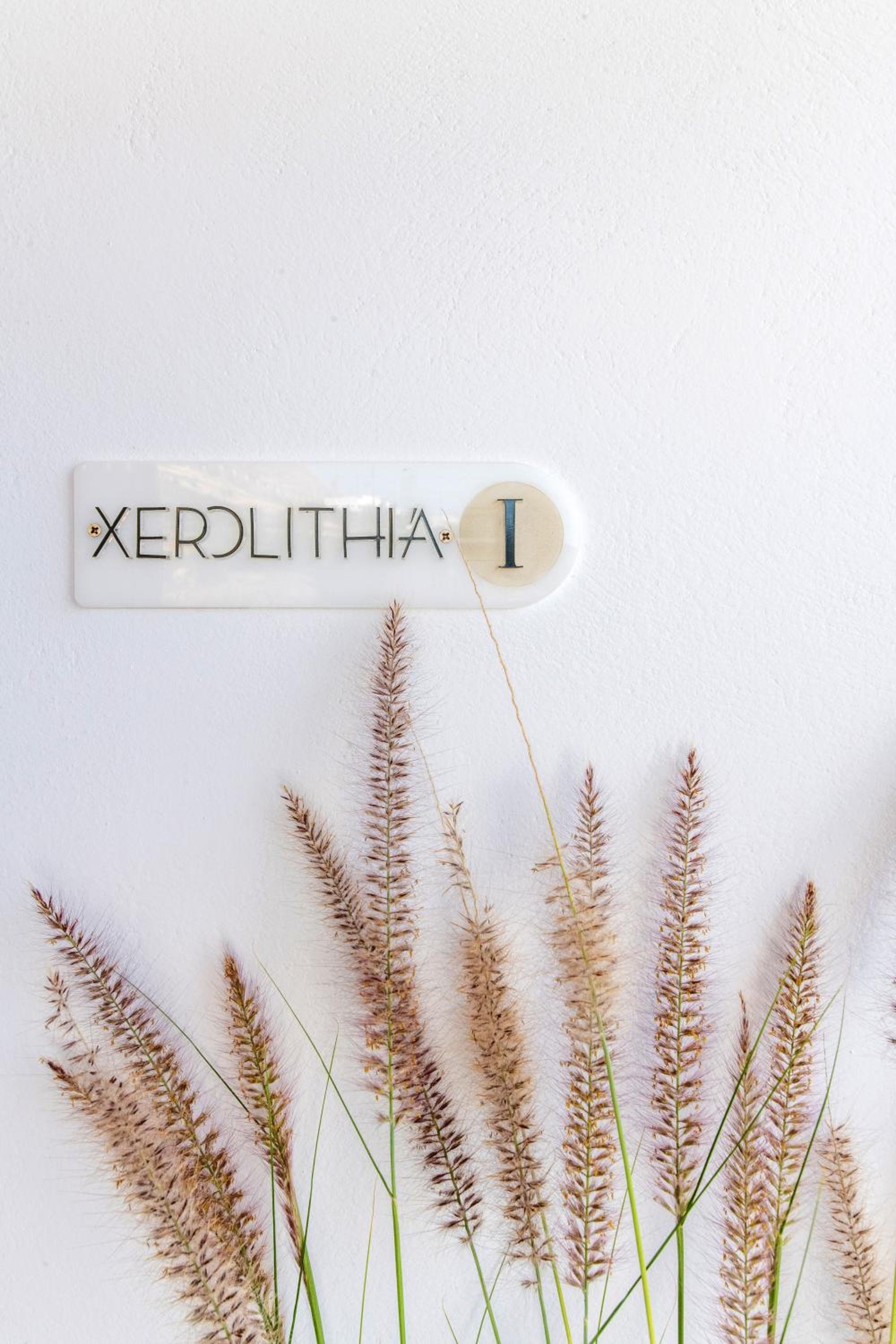 XEROLITHIA I