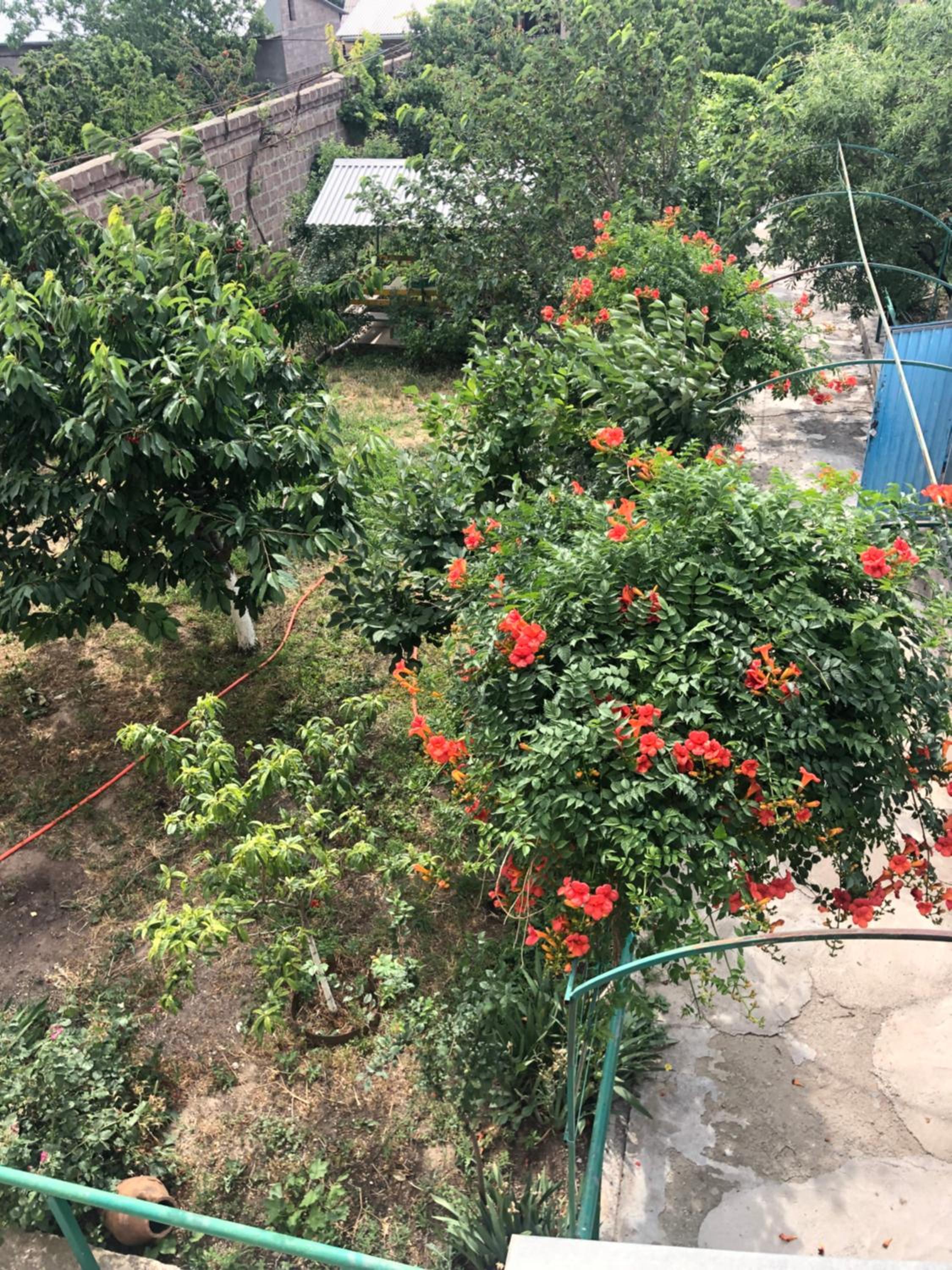 Red House