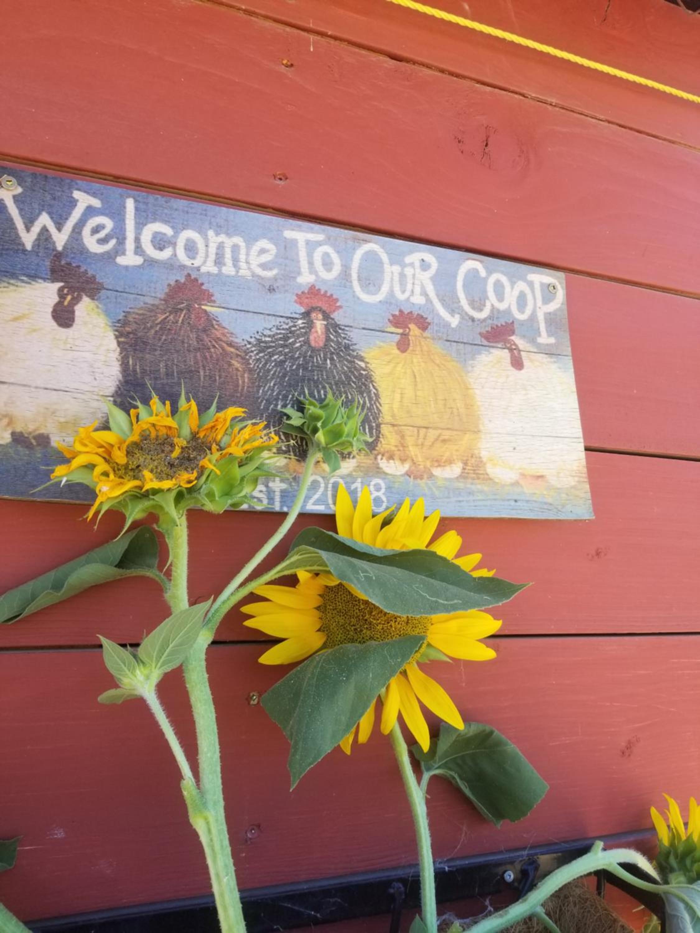 Global Village Permaculture BnB