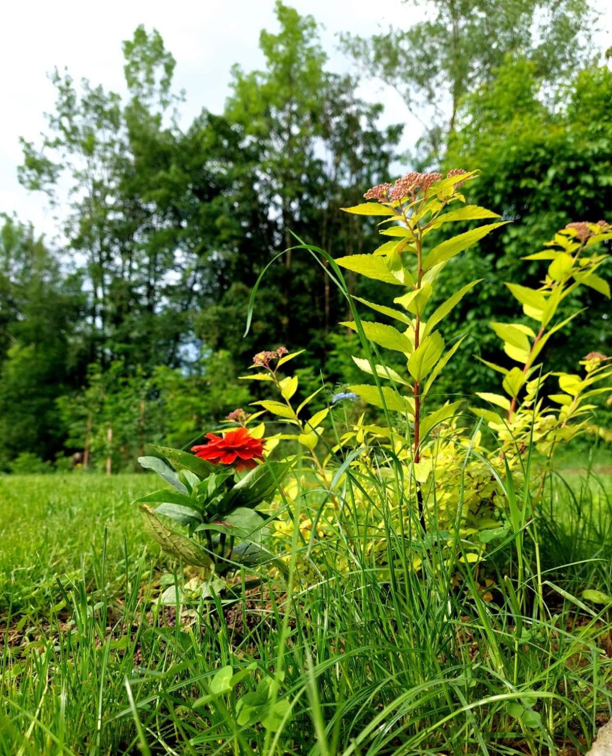 Photo 45