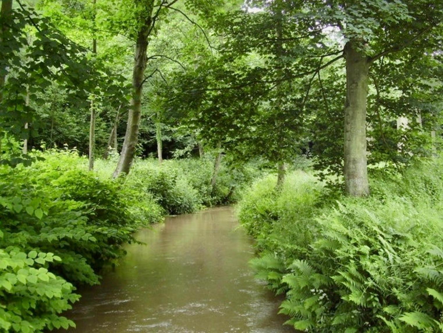 Photo 12