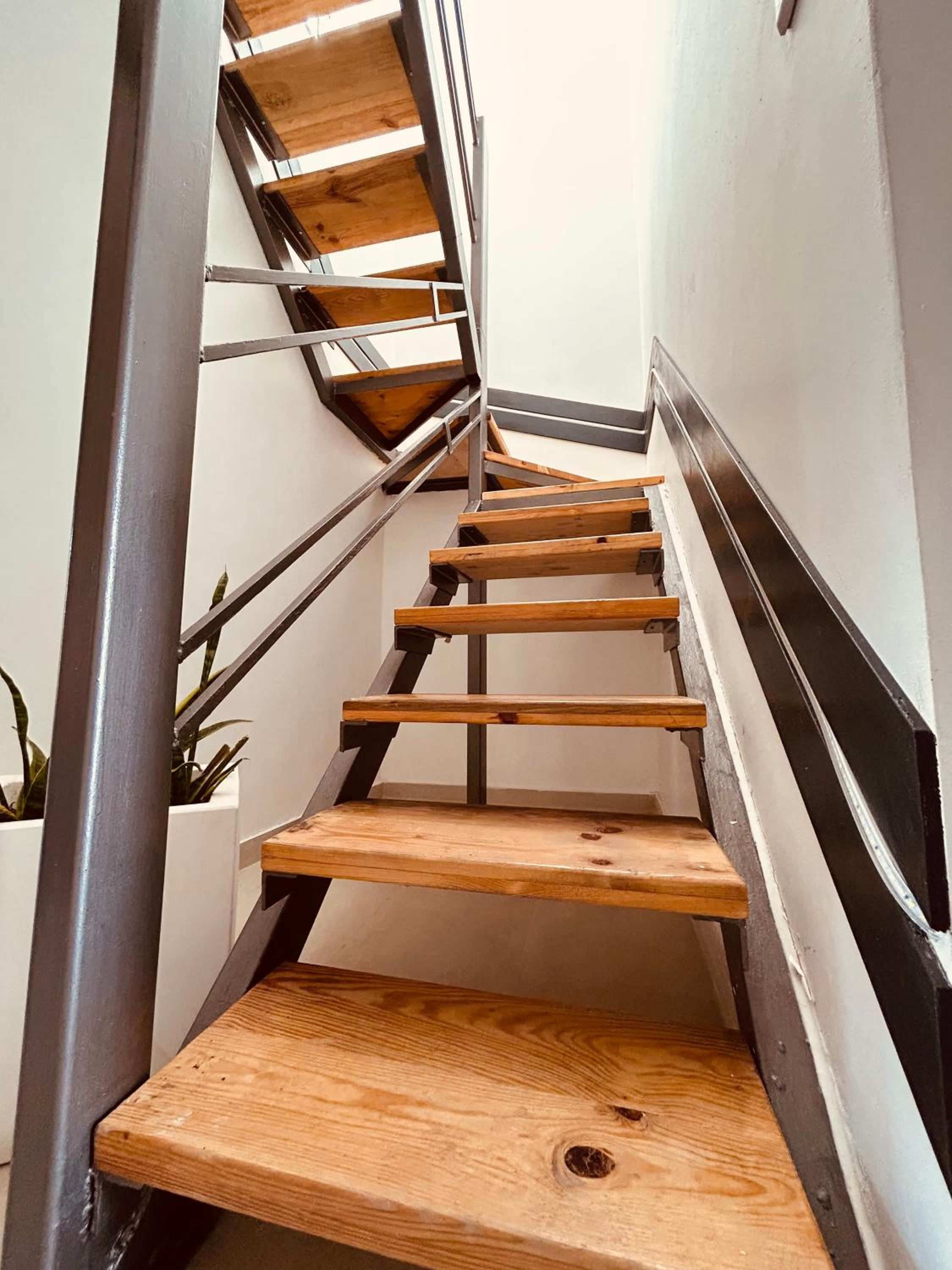 Hillview Duplex Penthouse — photo 5